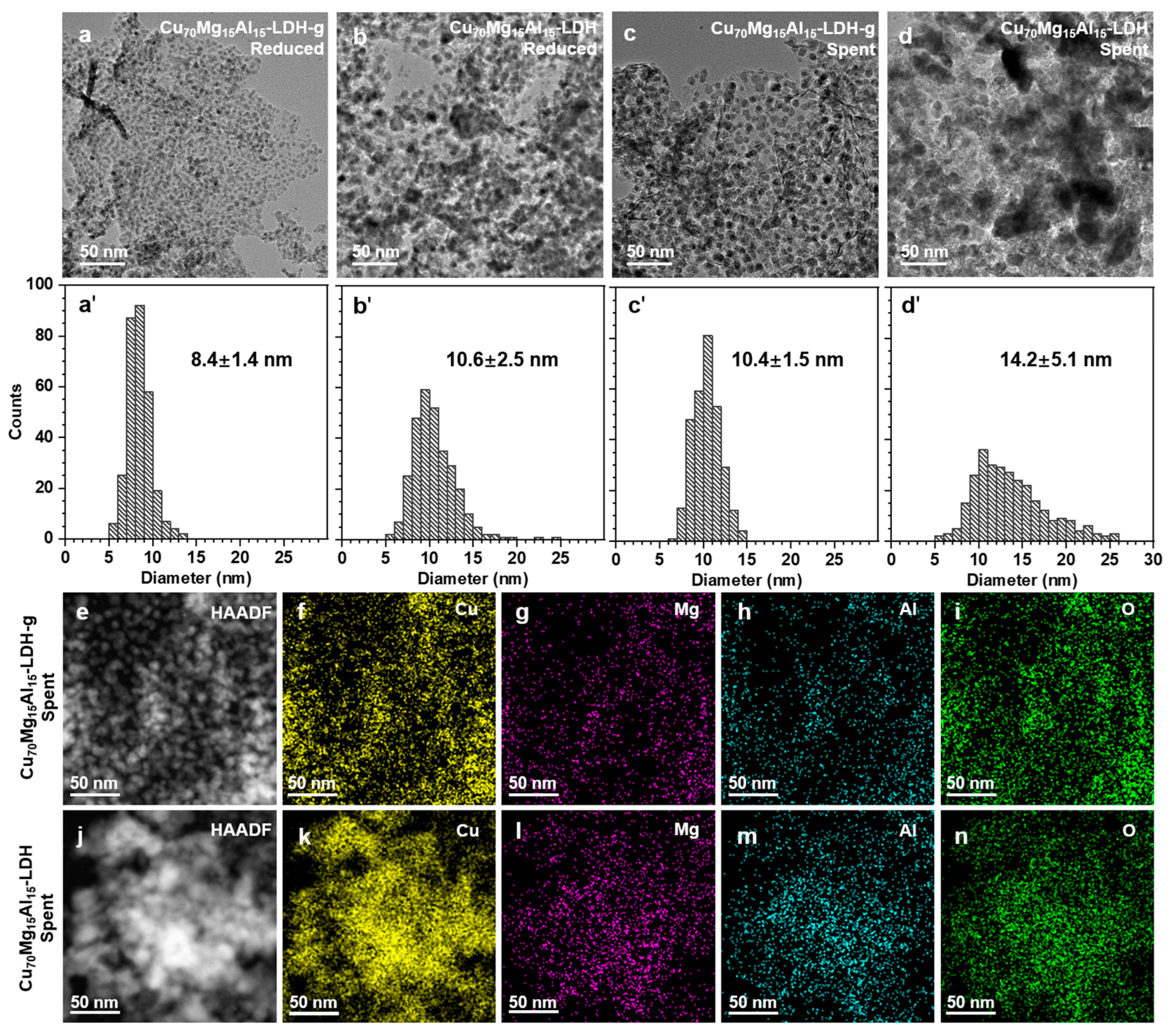 Catalysts 15 00546 g003