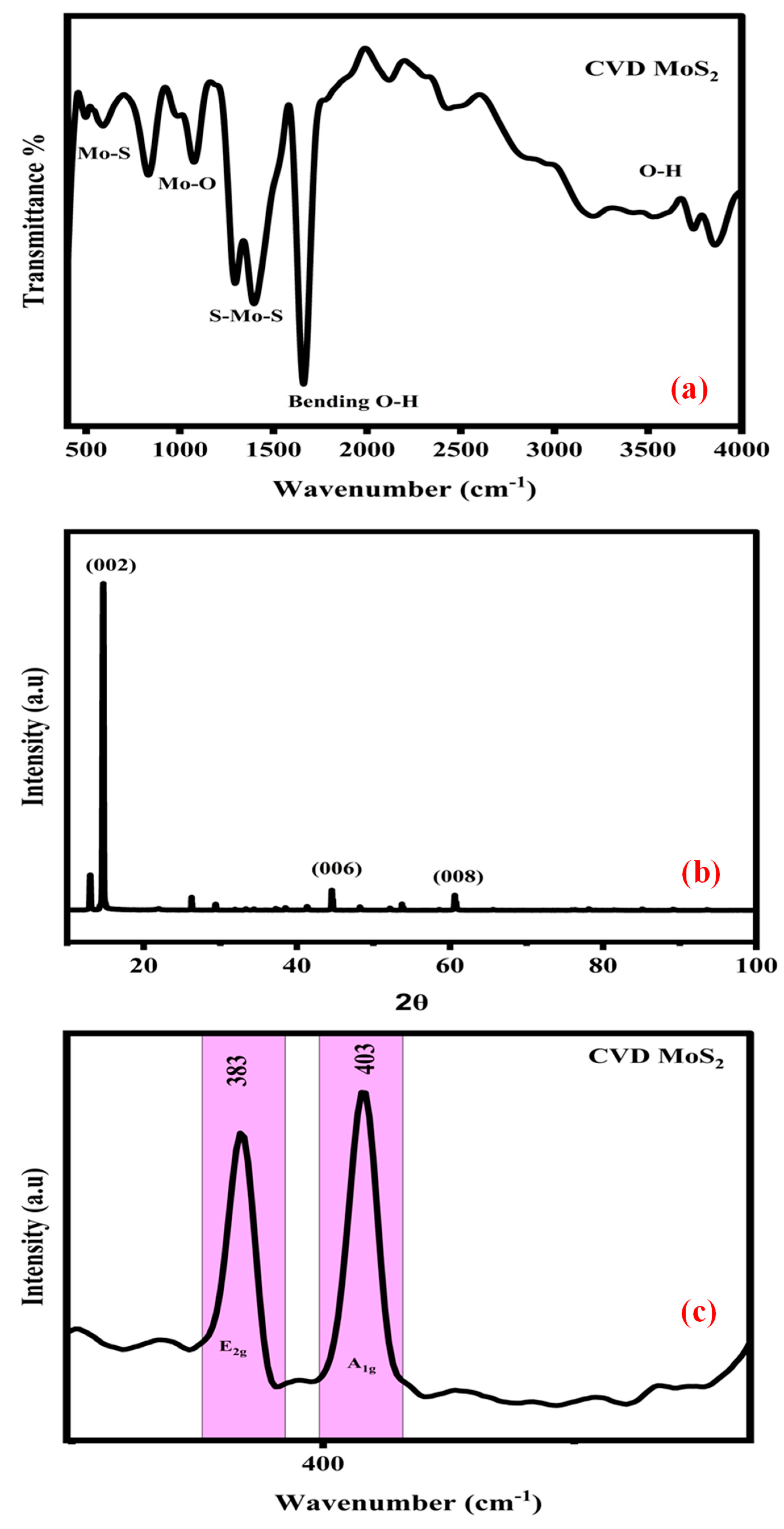 Catalysts 15 00550 g001