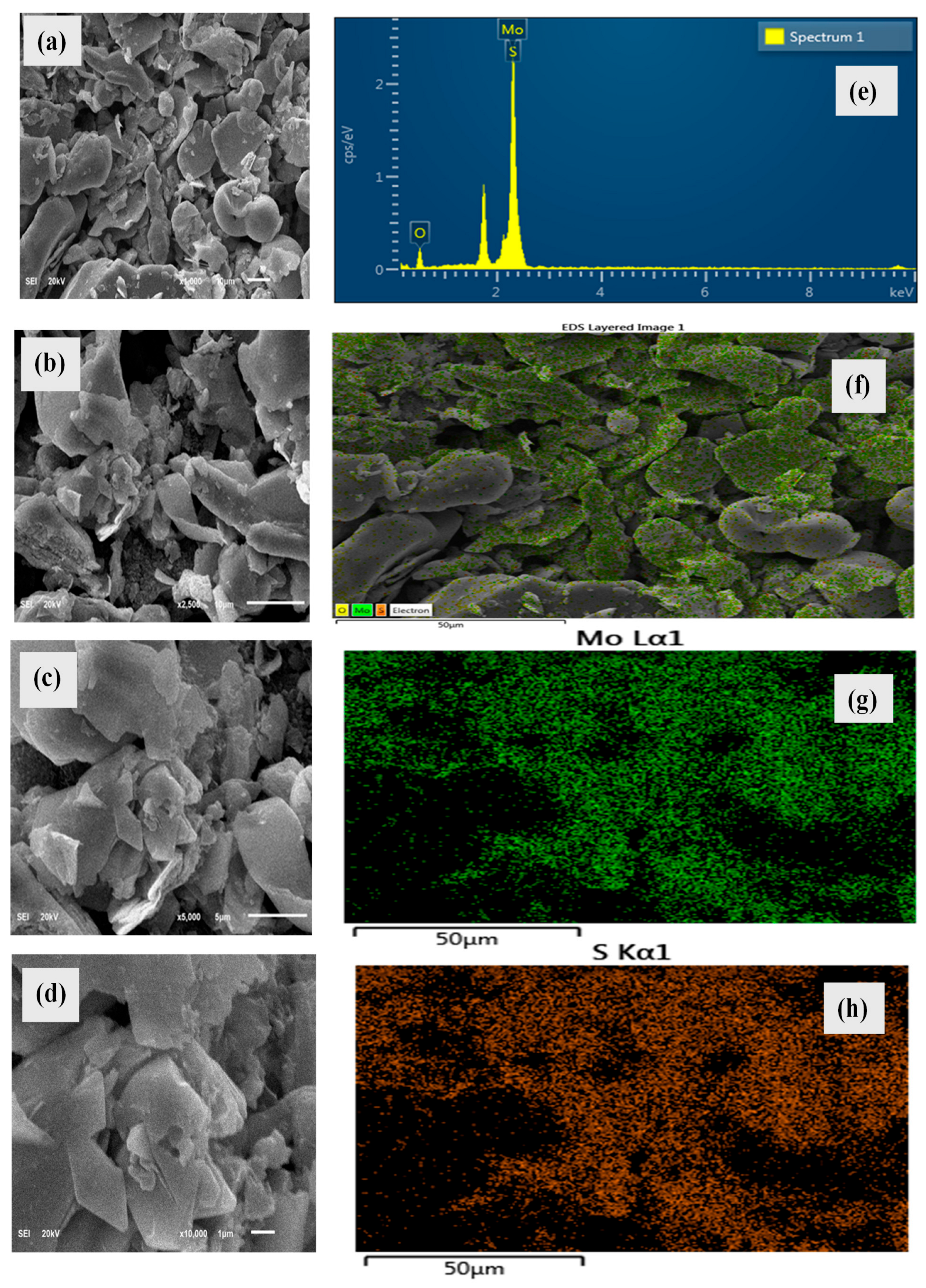 Catalysts 15 00550 g003
