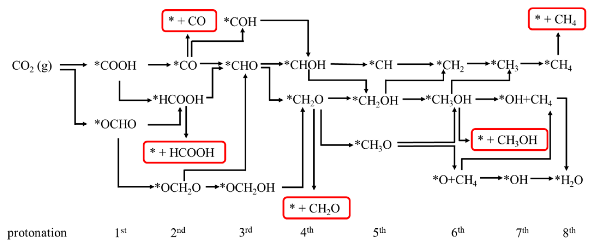 Catalysts 15 00553 g004