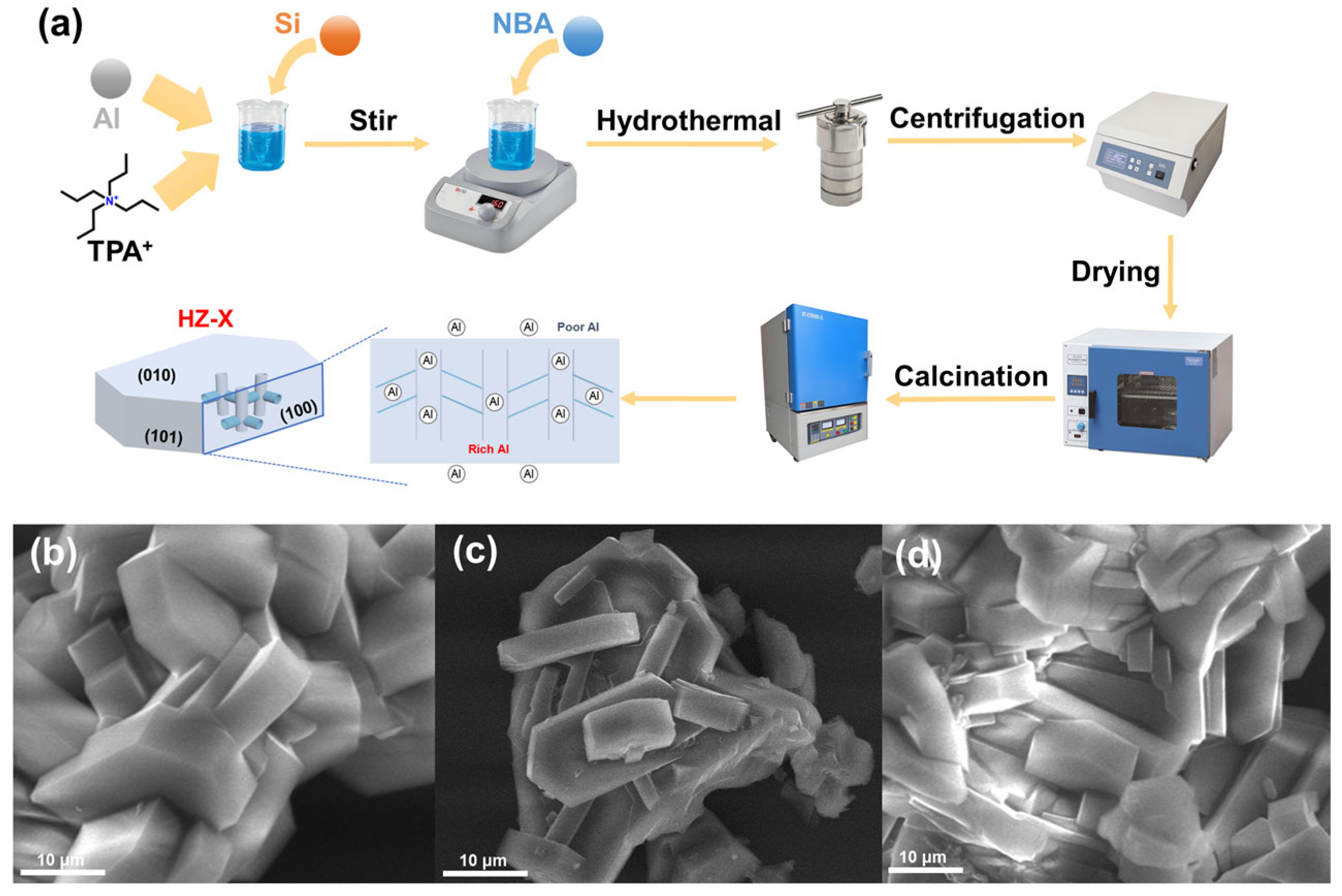 Catalysts 15 00557 g001