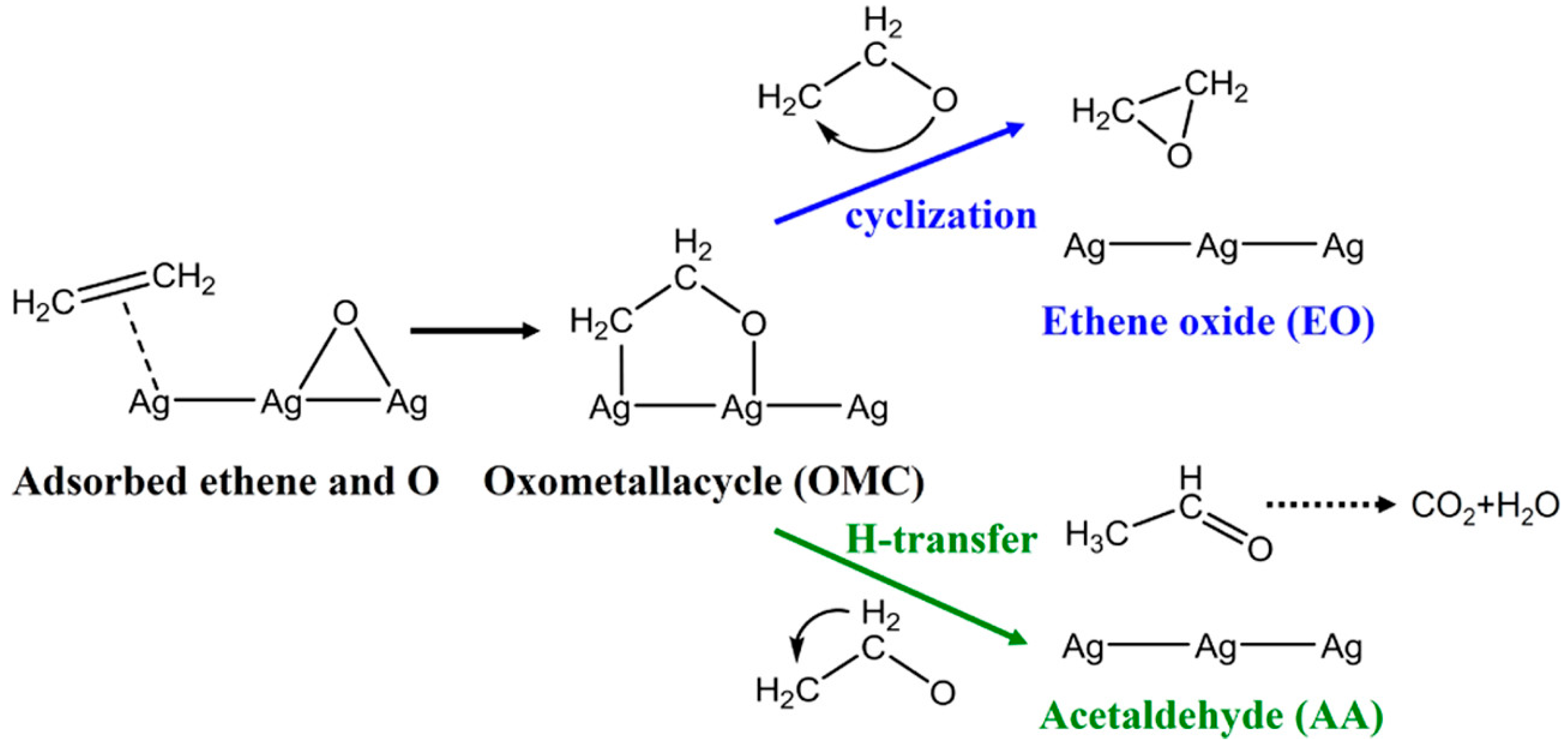 Catalysts 15 00560 g004