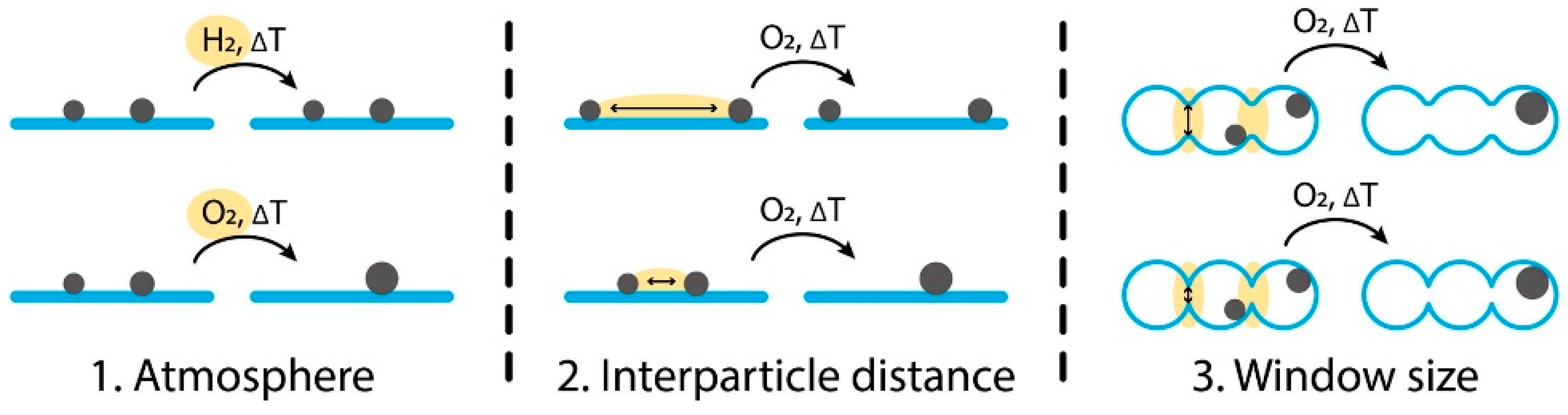Catalysts 15 00560 g005