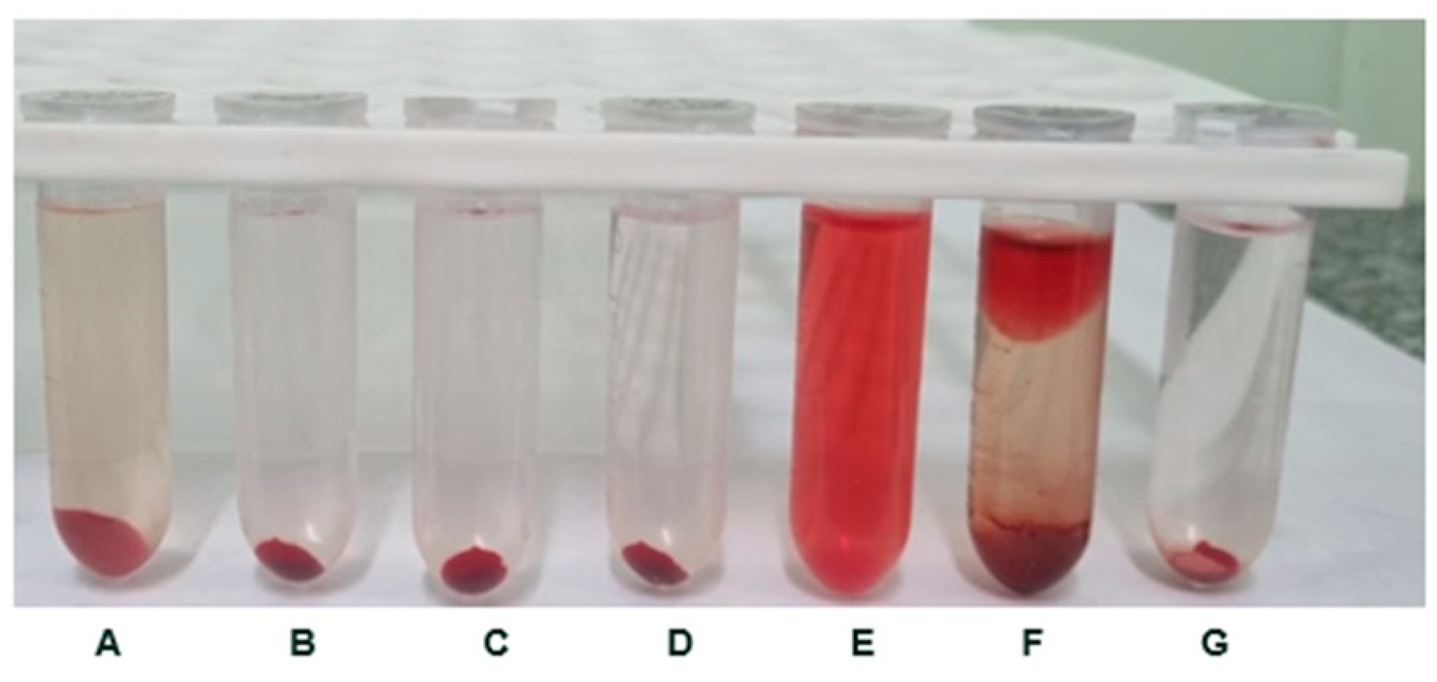 Catalysts 15 00561 g007 Catalysts 15 00561 g007