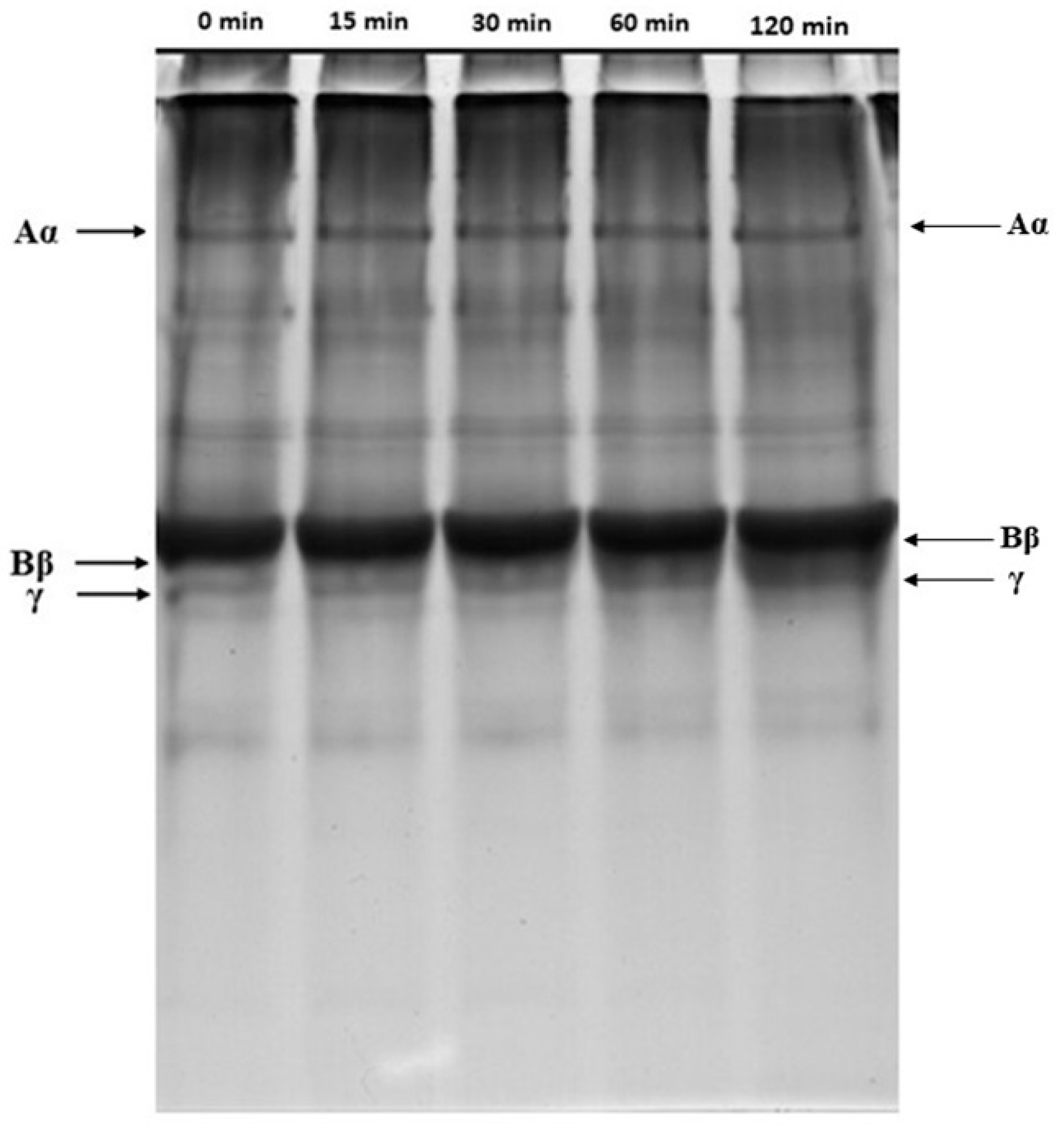 Catalysts 15 00561 g008 Catalysts 15 00561 g008