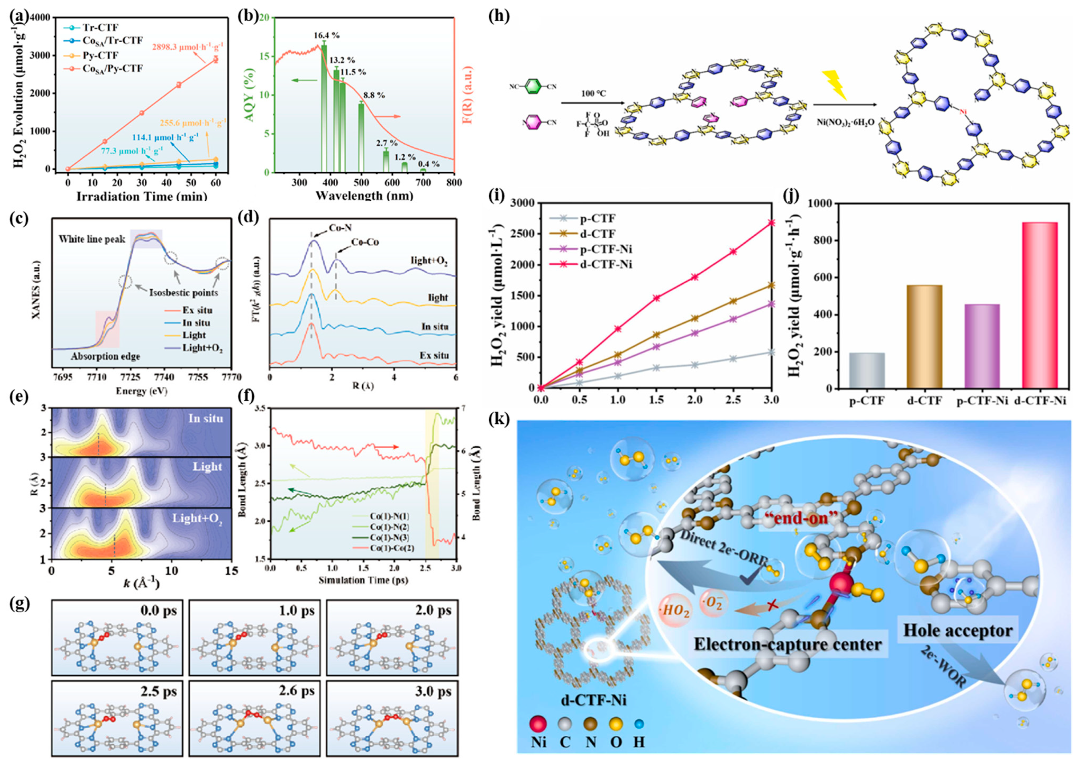 Catalysts 15 00562 g004