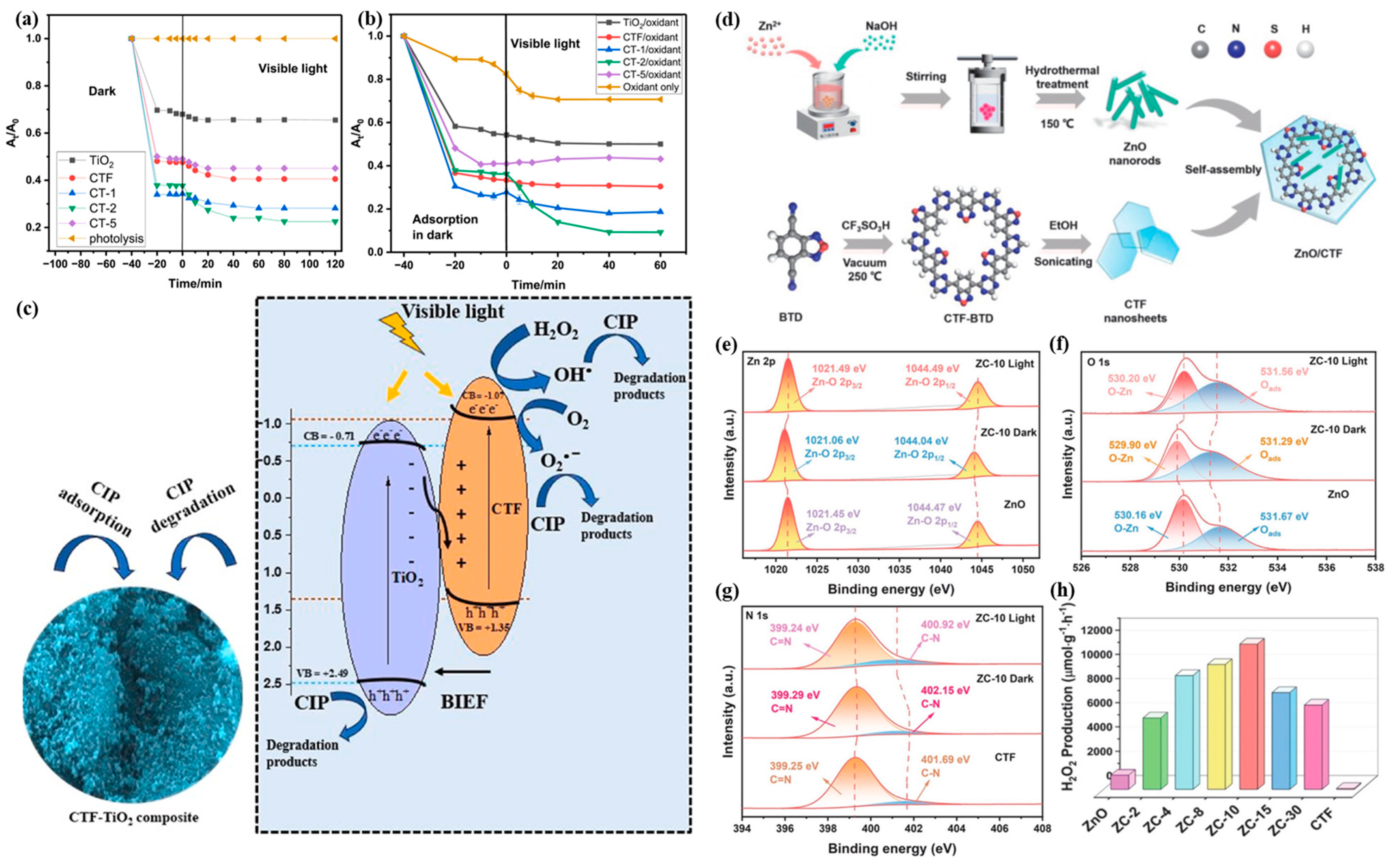 Catalysts 15 00562 g005