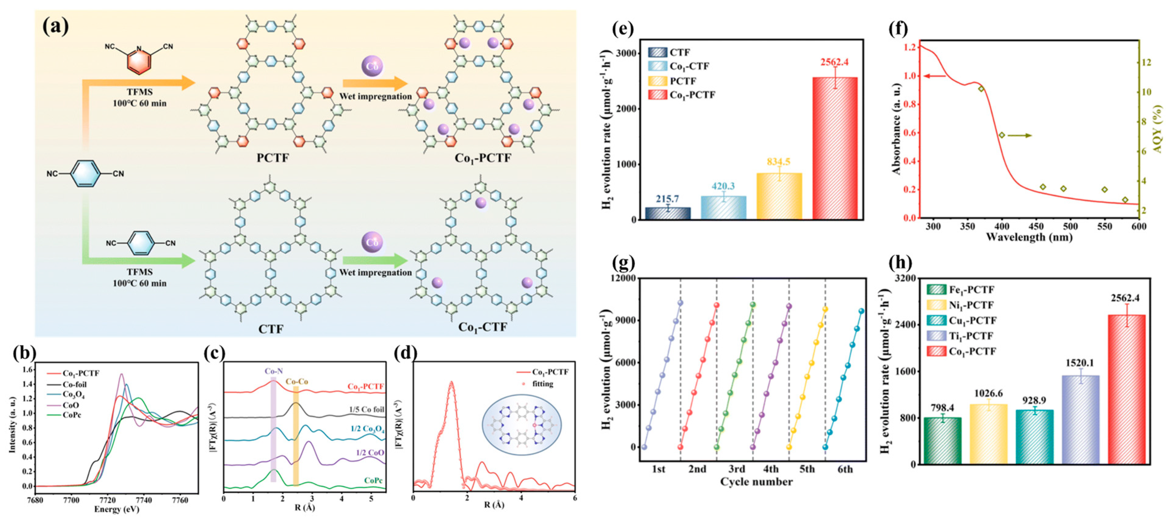 Catalysts 15 00562 g007
