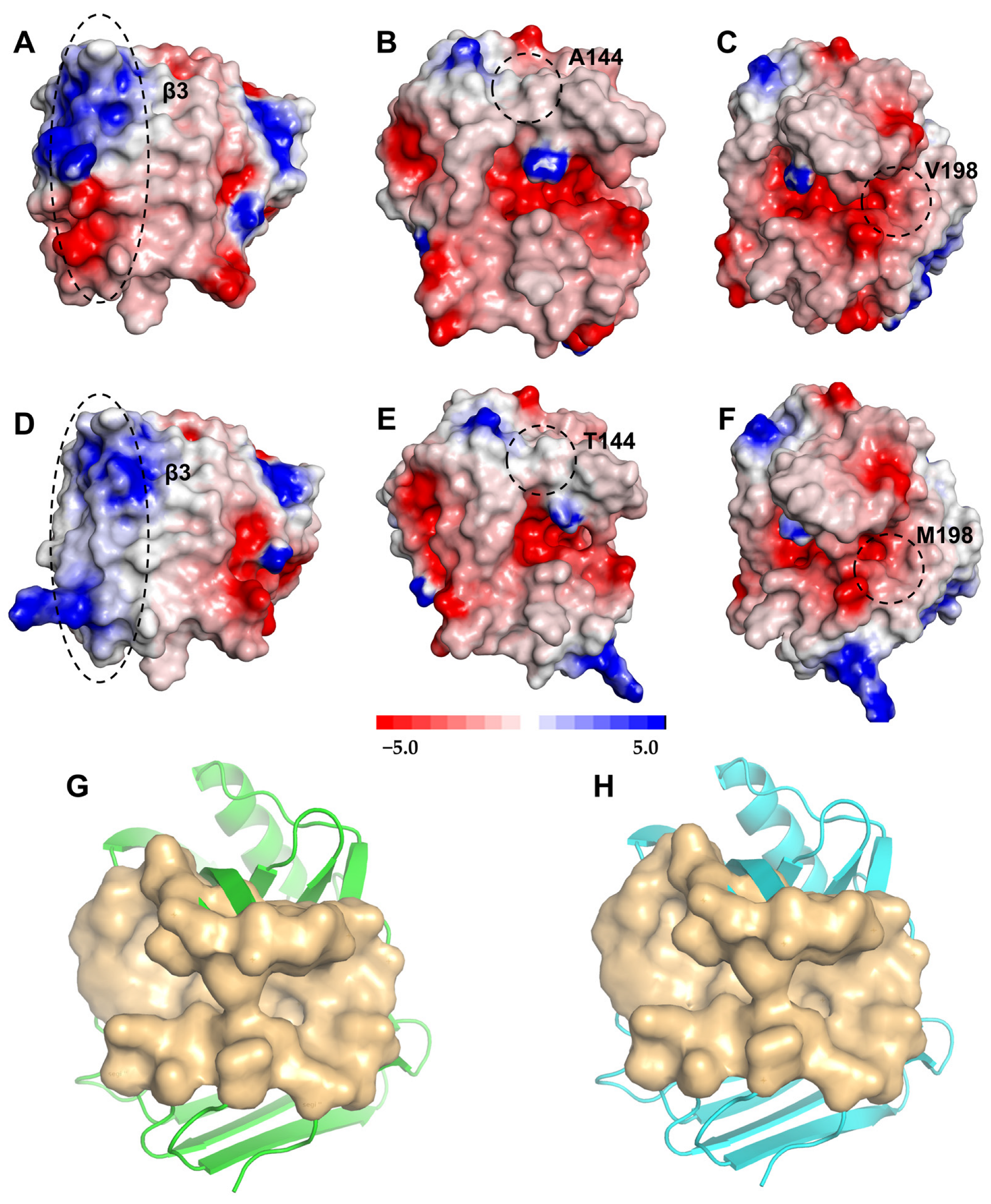 Catalysts 15 00563 g005