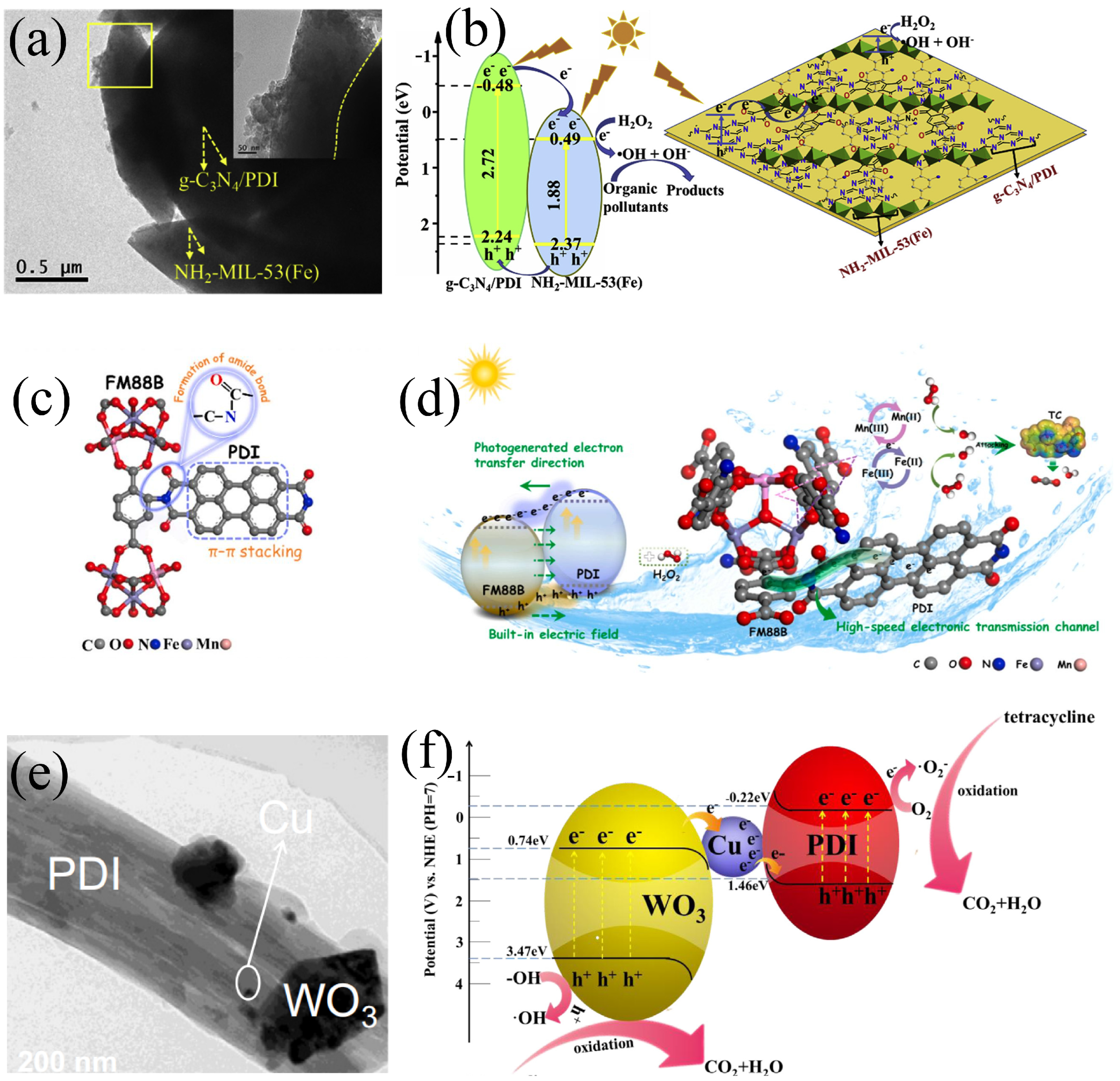 Catalysts 15 00565 g001