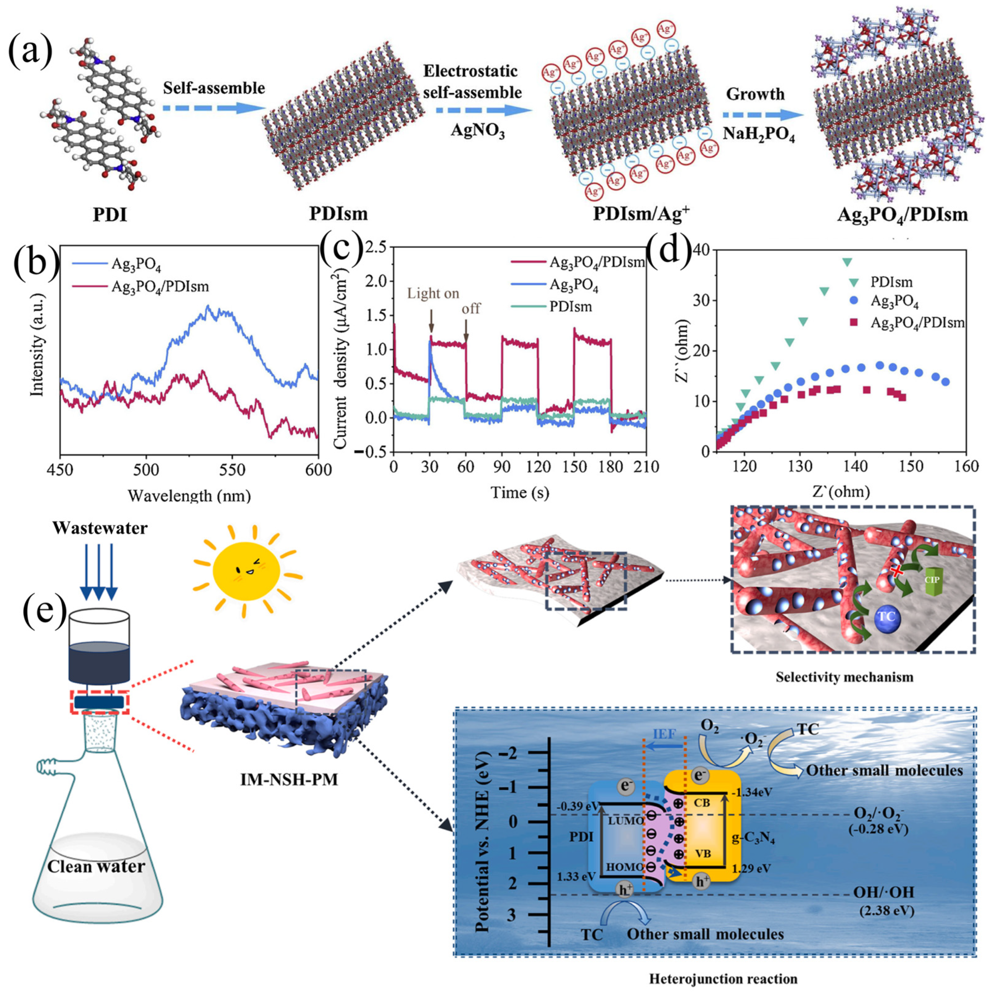 Catalysts 15 00565 g002