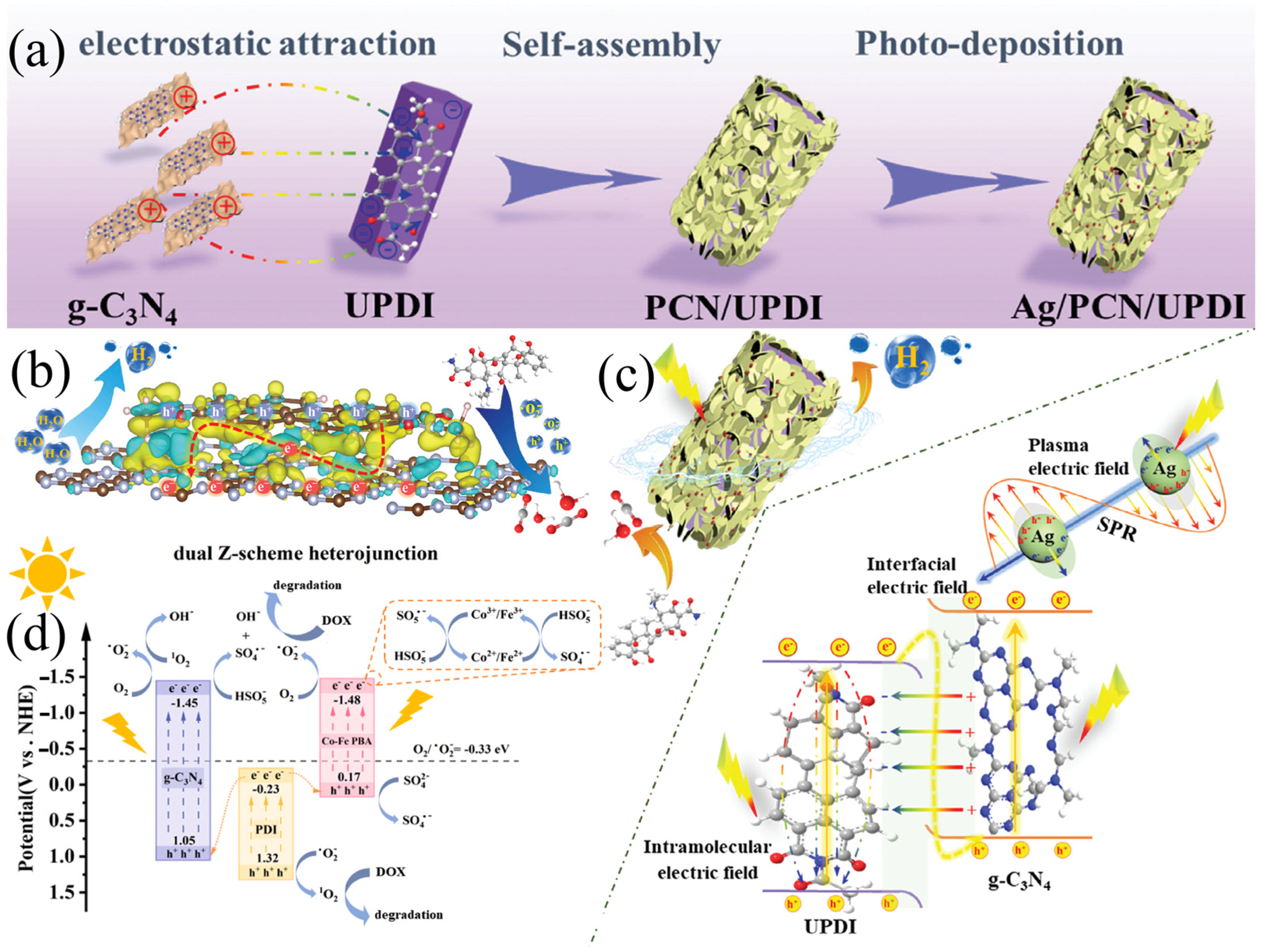 Catalysts 15 00565 g003