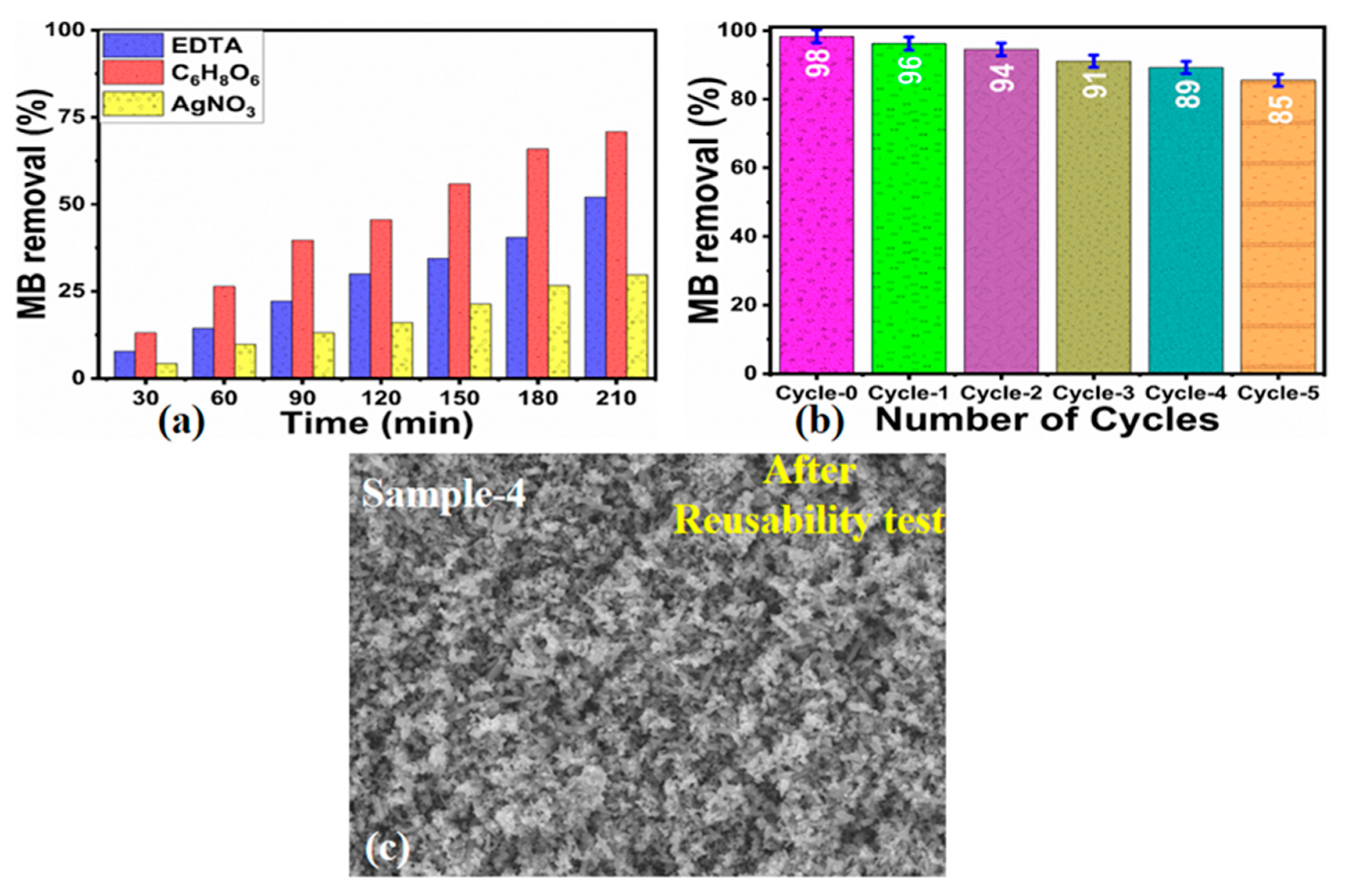 Catalysts 15 00566 g011