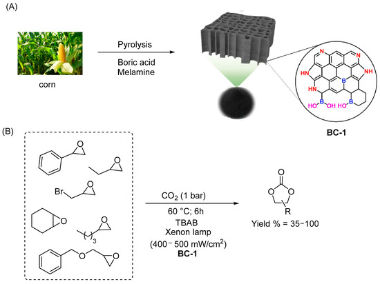 Biochar-Based Materials for Catalytic CO2 Valorization