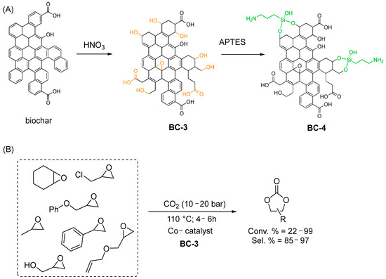 Biochar-Based Materials for Catalytic CO2 Valorization
