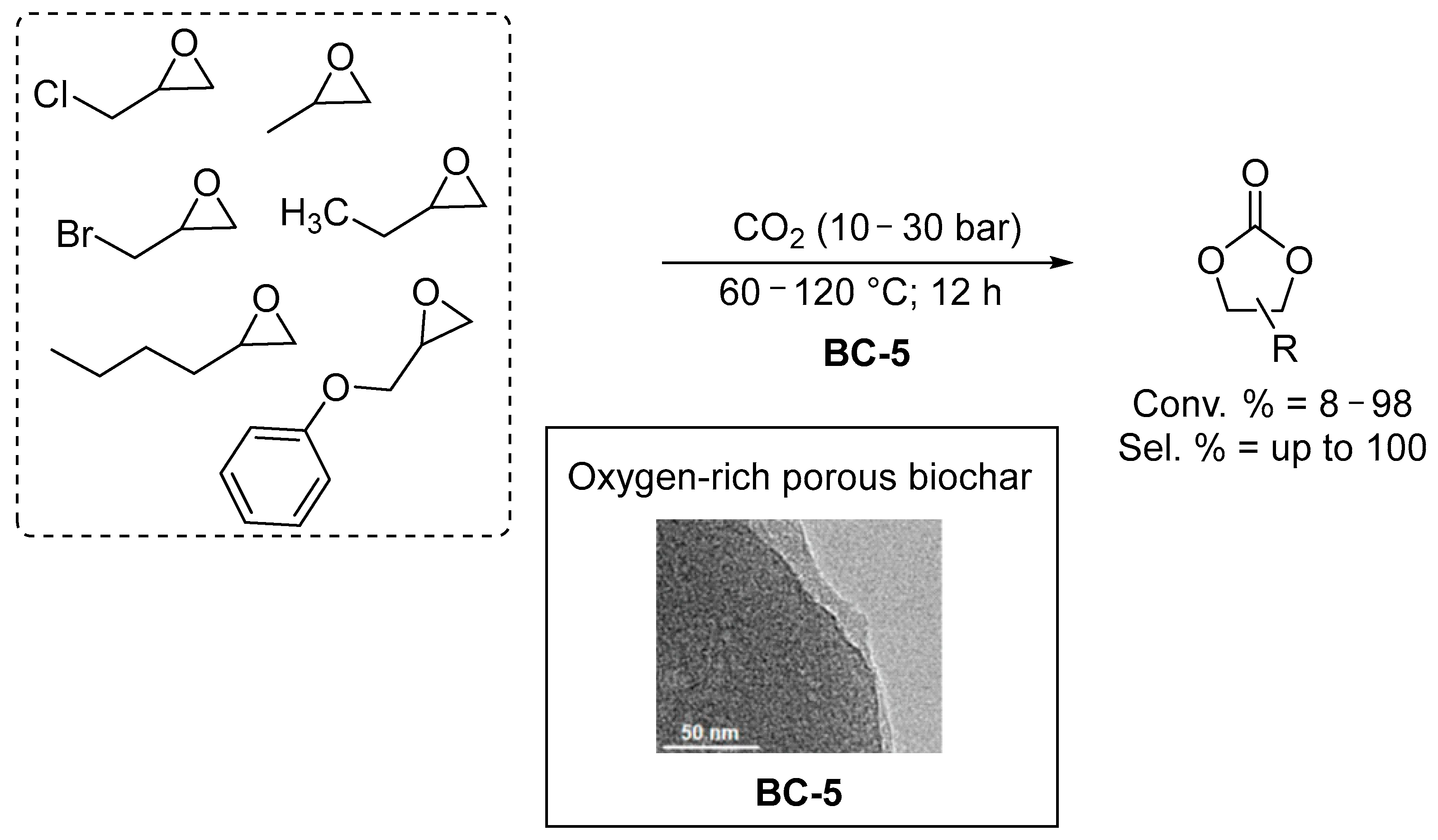 Catalysts 15 00568 sch005