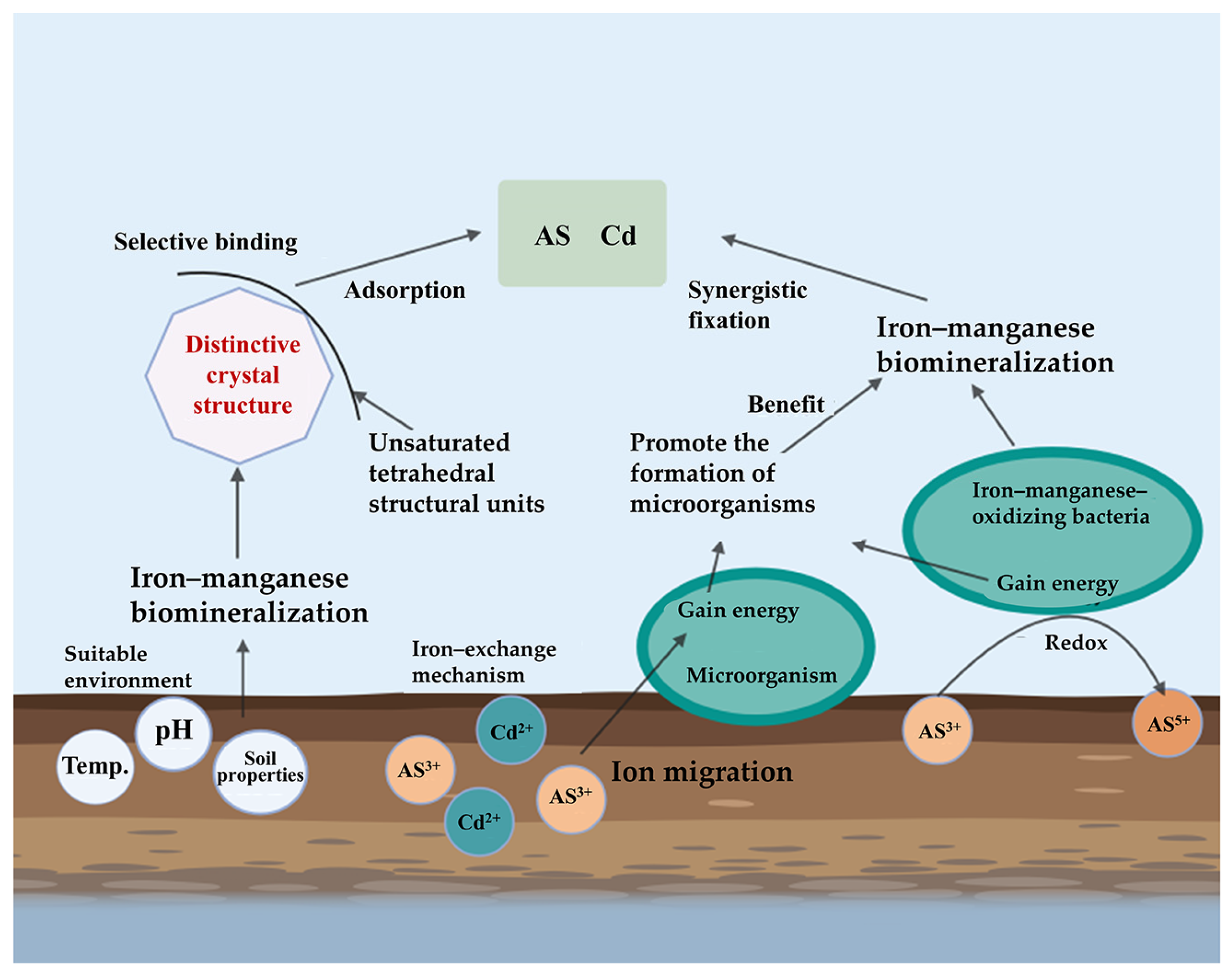 Catalysts 15 00570 g004