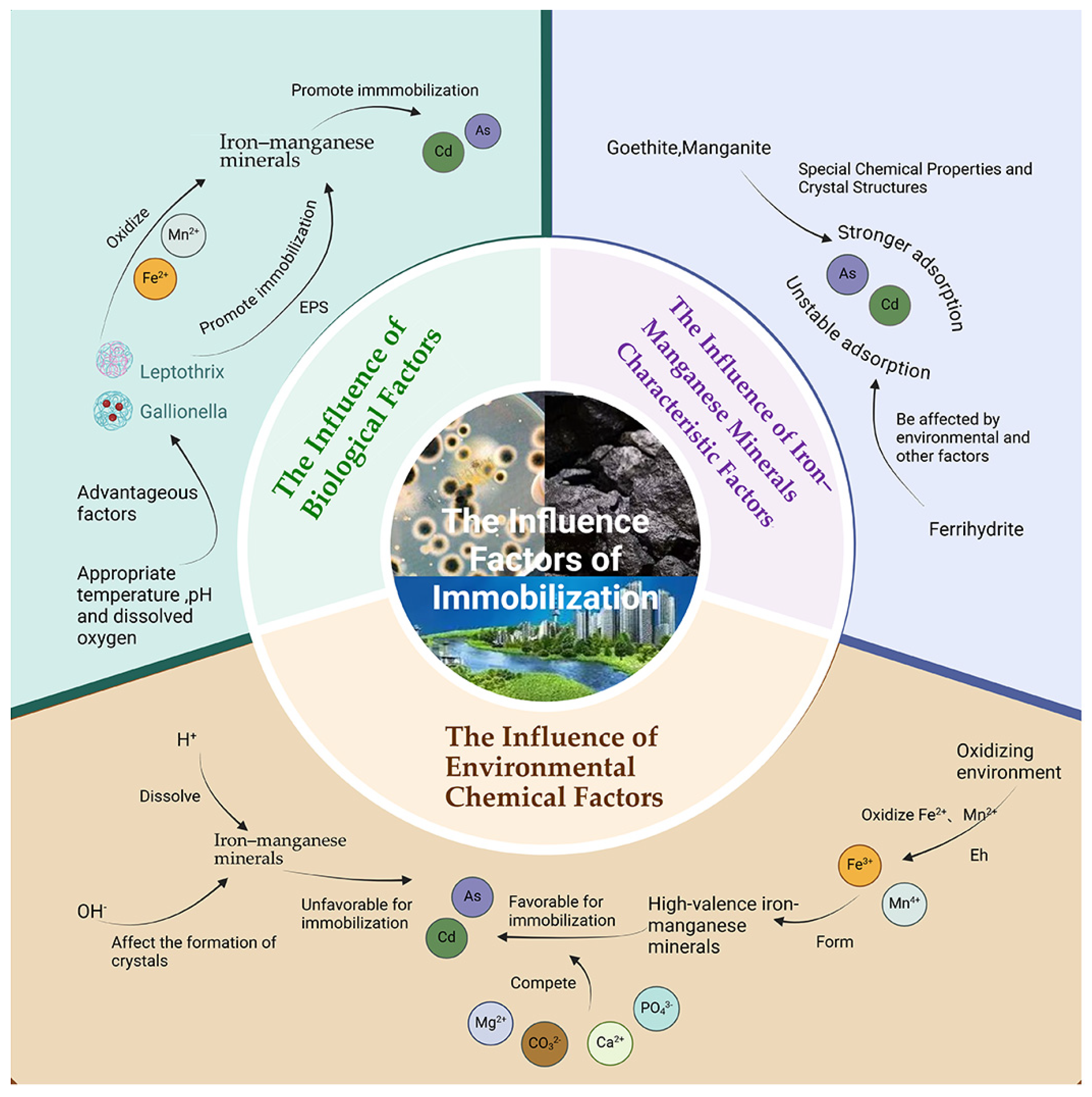 Catalysts 15 00570 g005