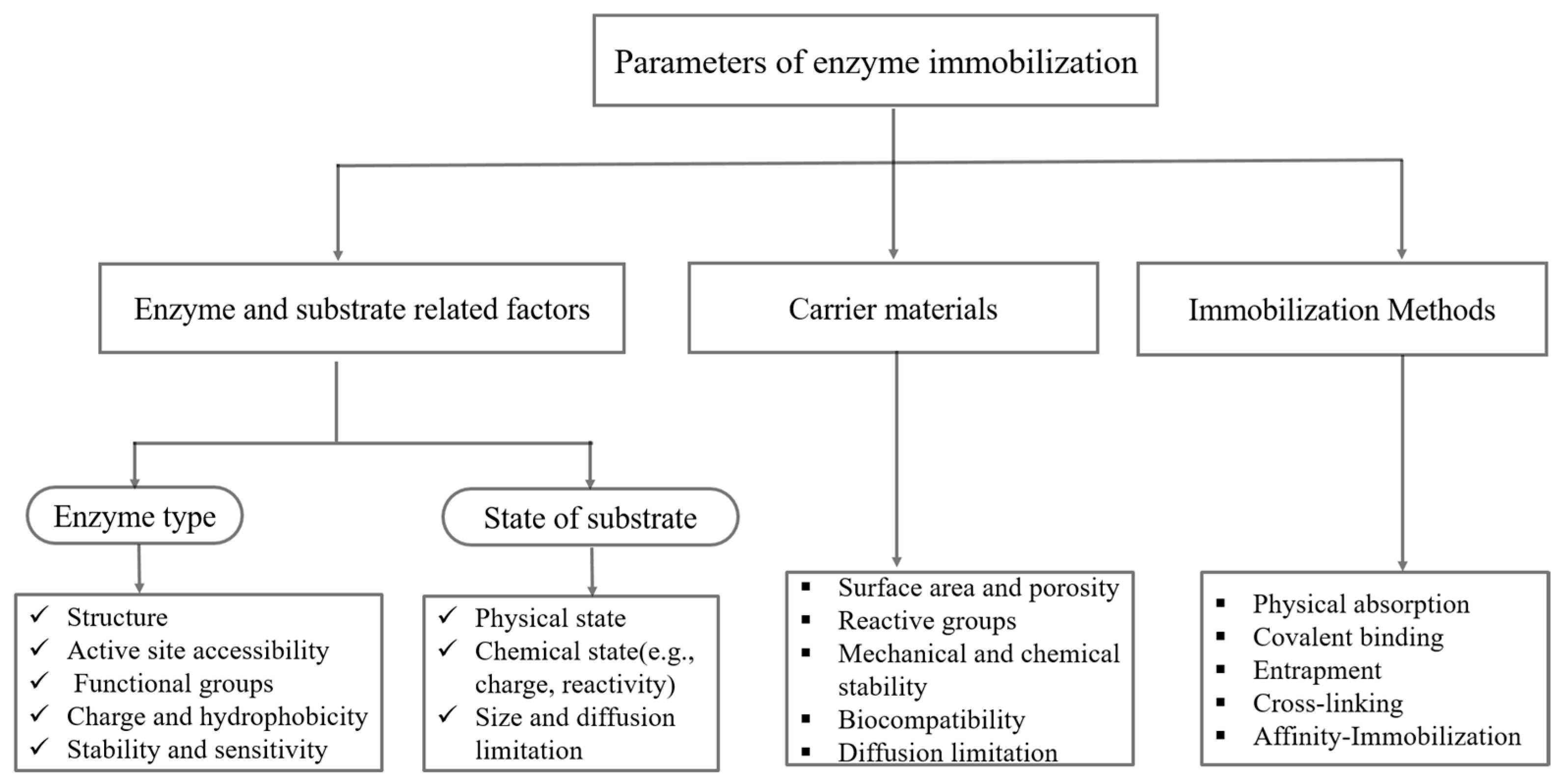 Catalysts 15 00571 g001