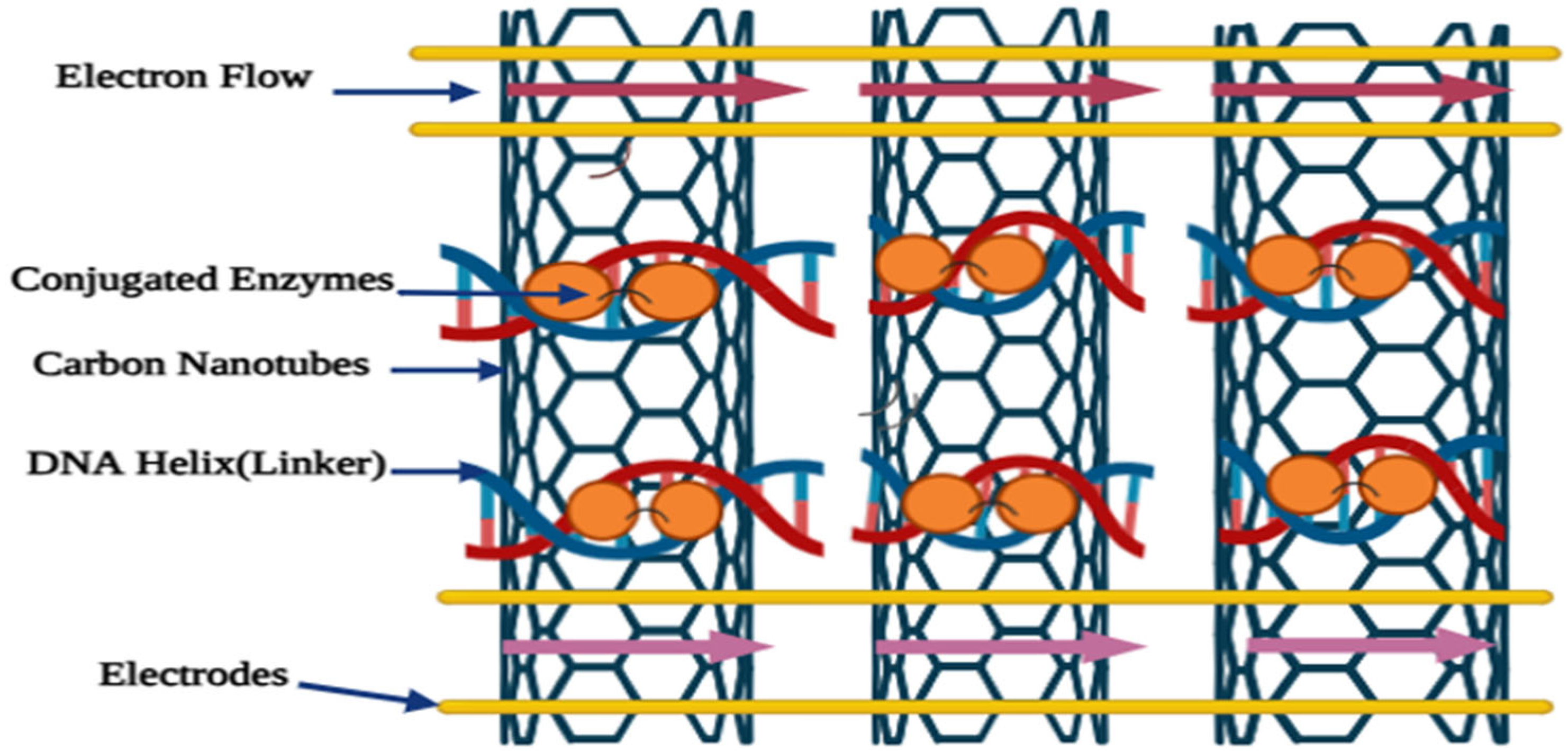 Catalysts 15 00571 g005
