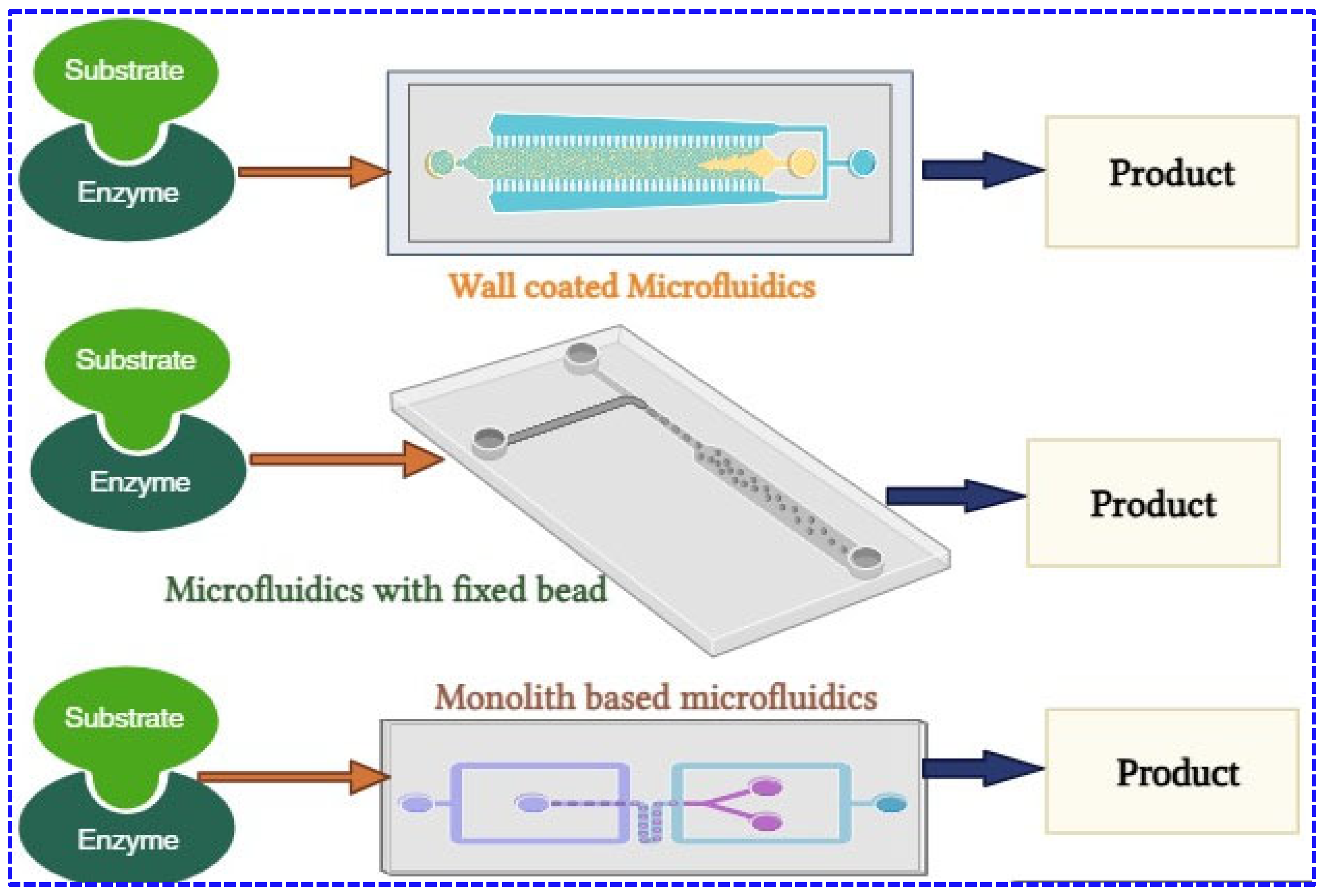 Catalysts 15 00571 g006