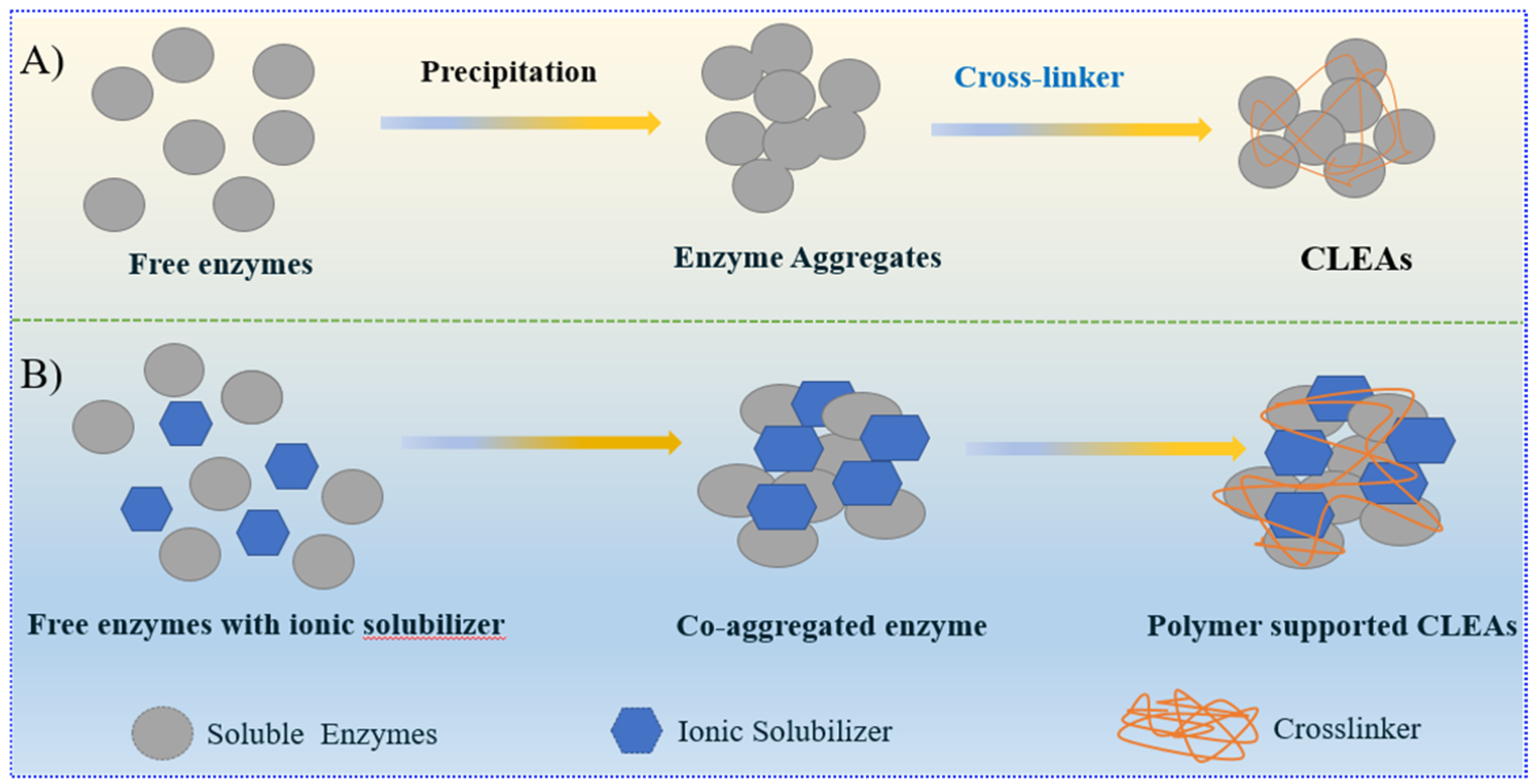 Catalysts 15 00571 g007
