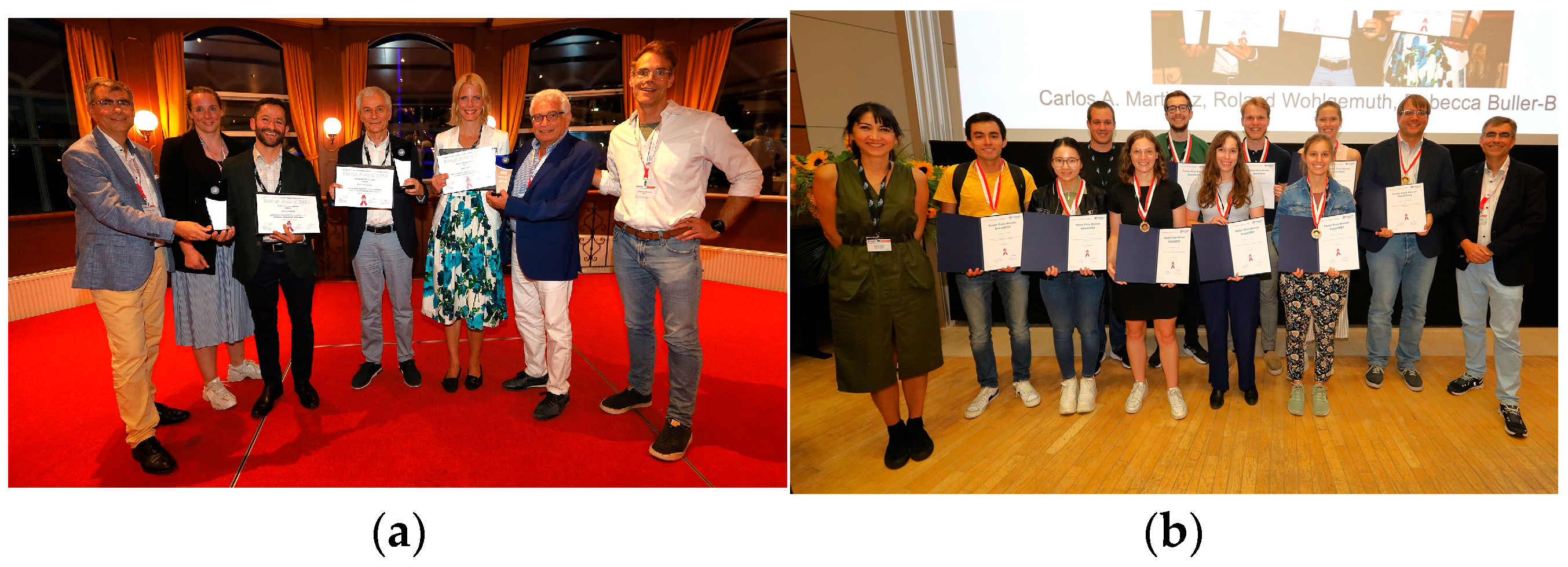 Catalysts 15 00574 g002