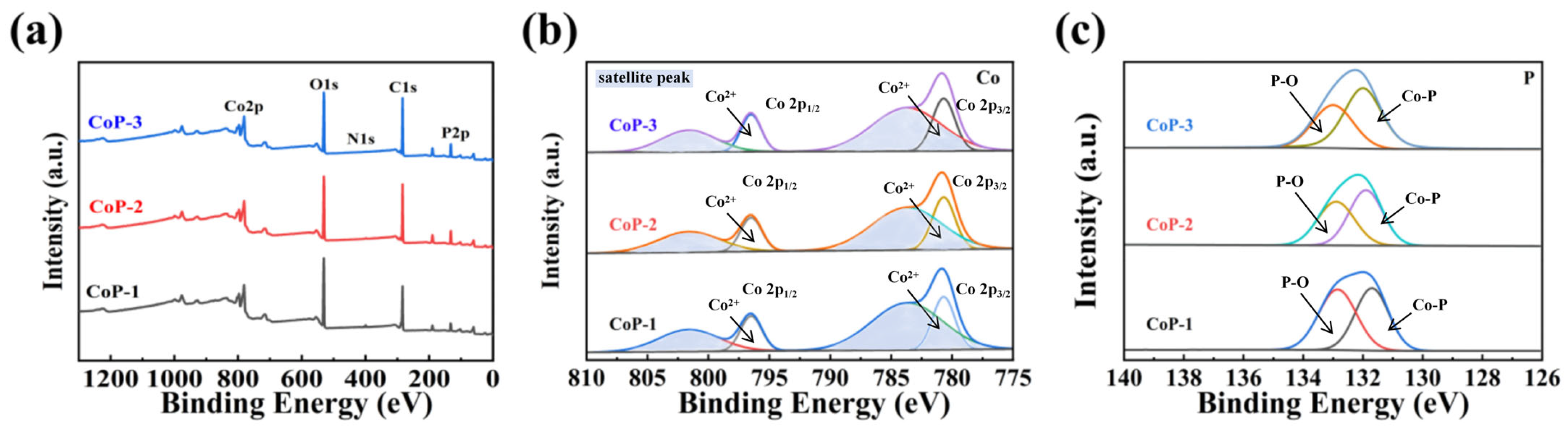Catalysts 15 00580 g003