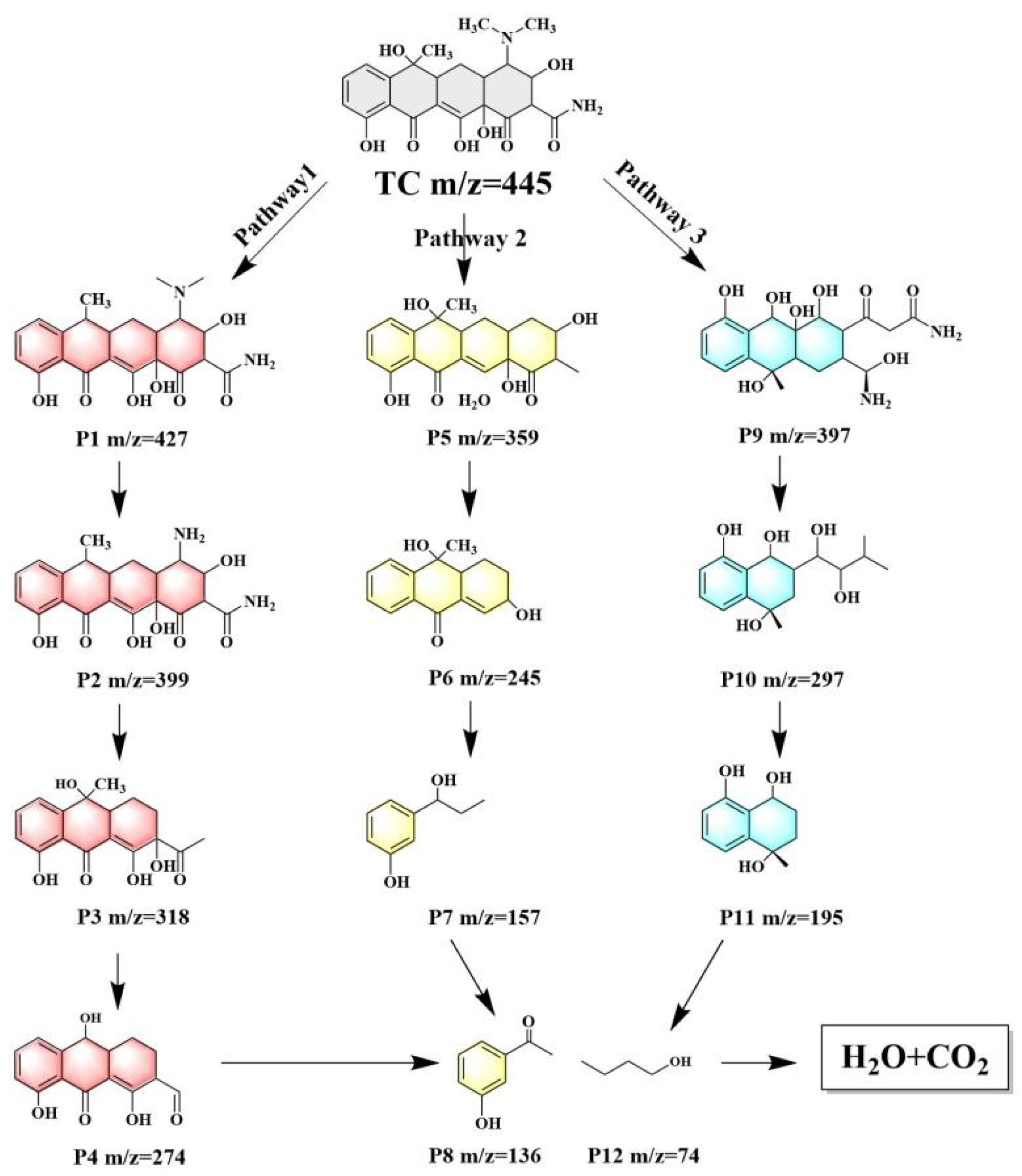 Catalysts 15 00580 g009