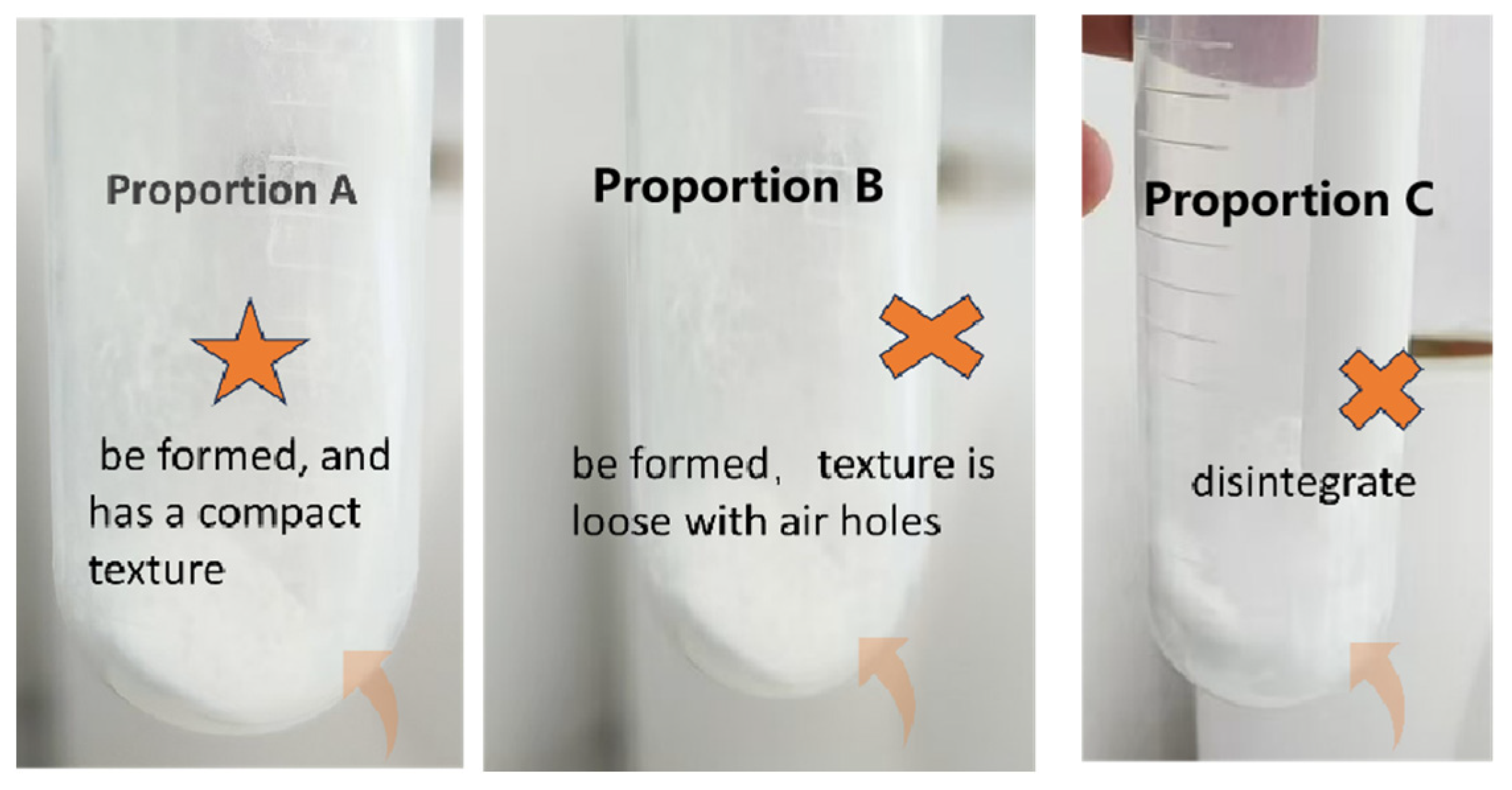 Catalysts 15 00584 g001