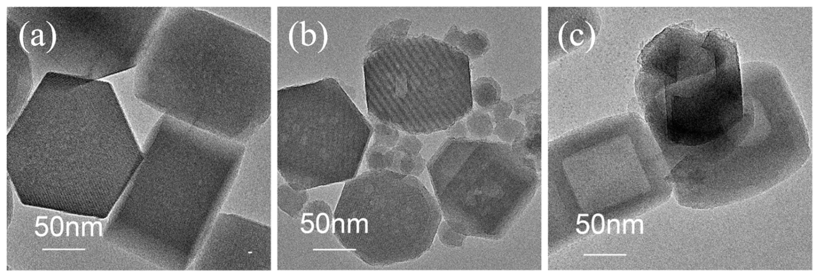 Catalysts 15 00584 g002