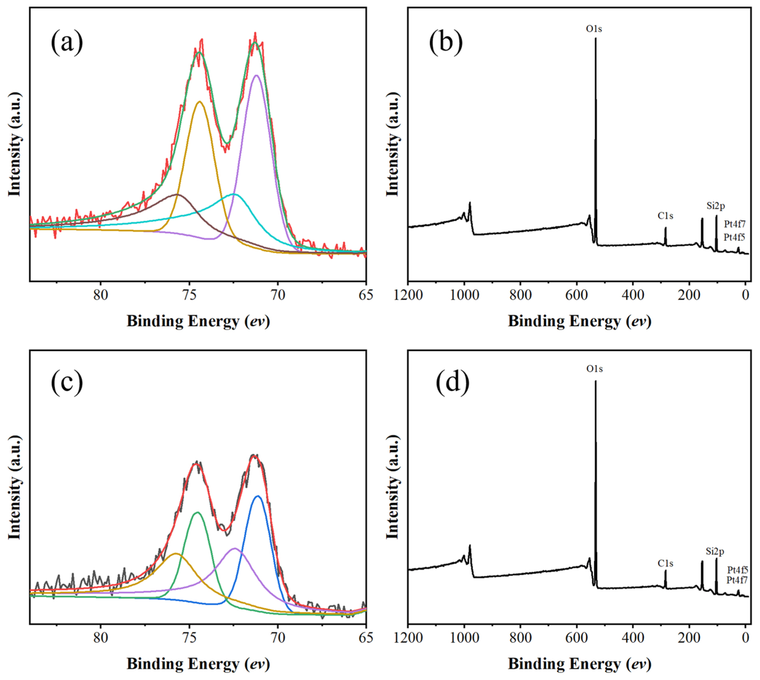 Catalysts 15 00584 g008
