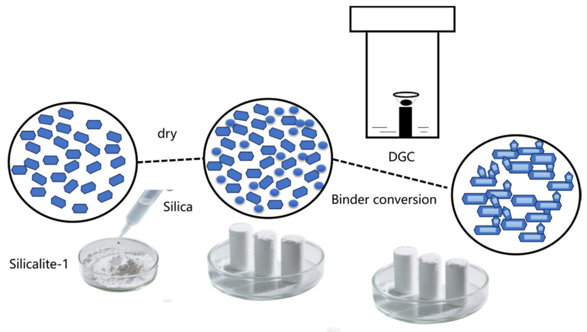 Catalysts 15 00584 sch001