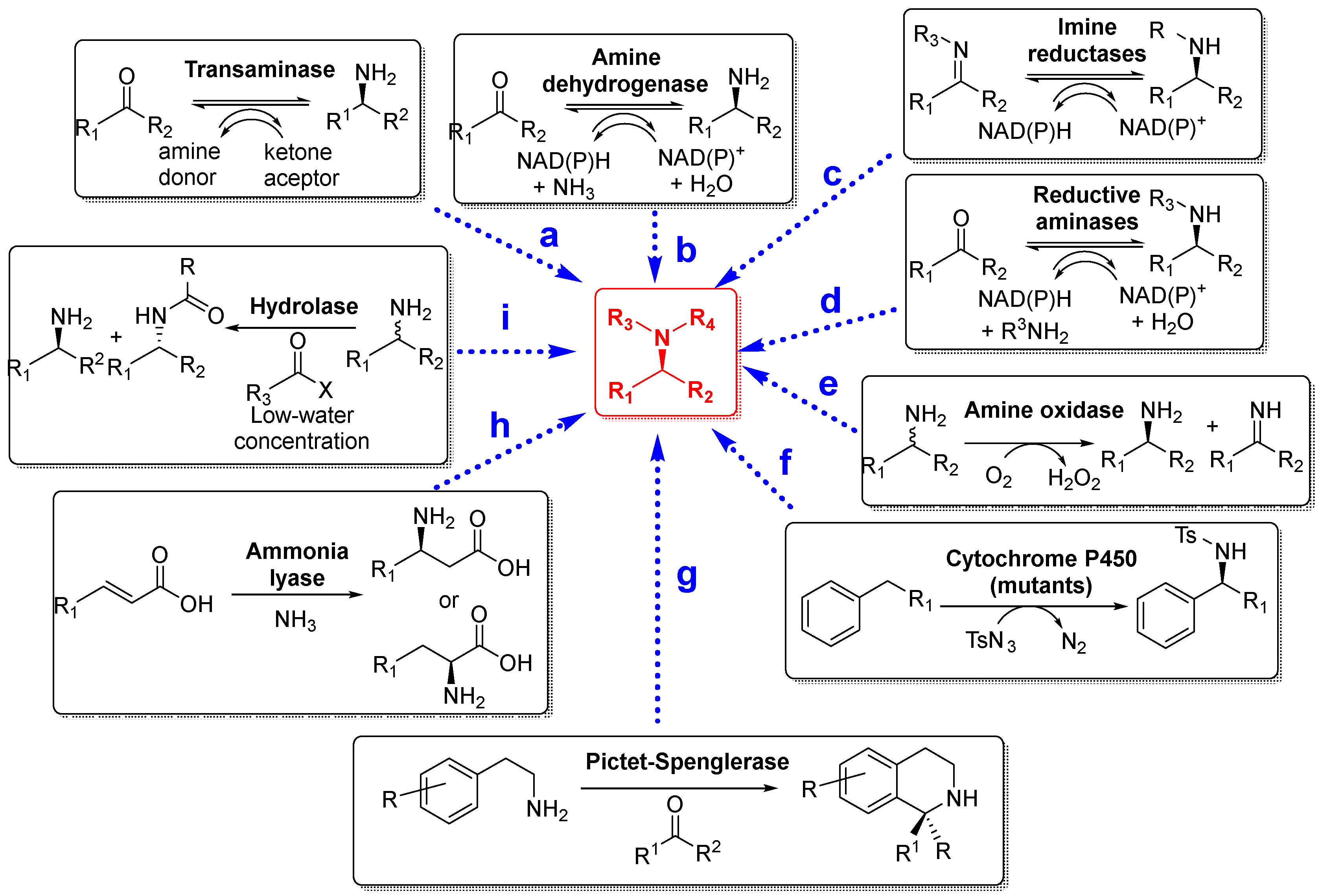 Catalysts 15 00586 sch006