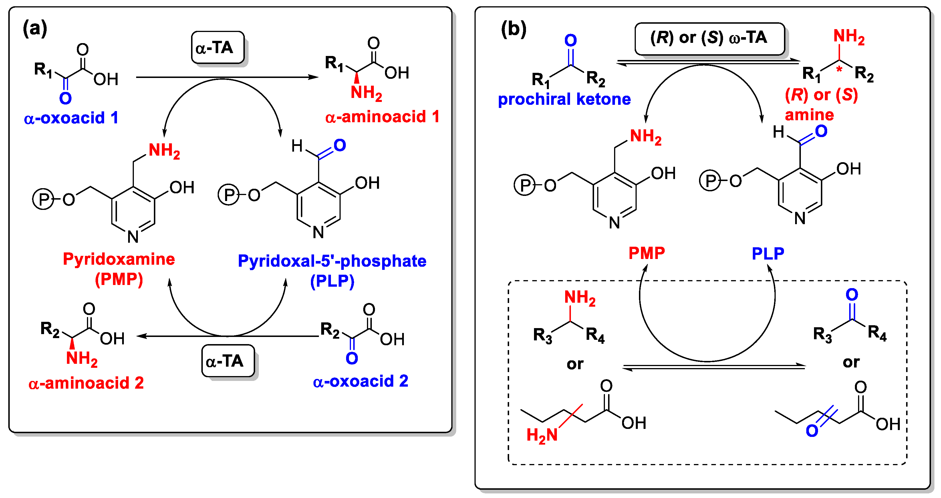 Catalysts 15 00586 sch007