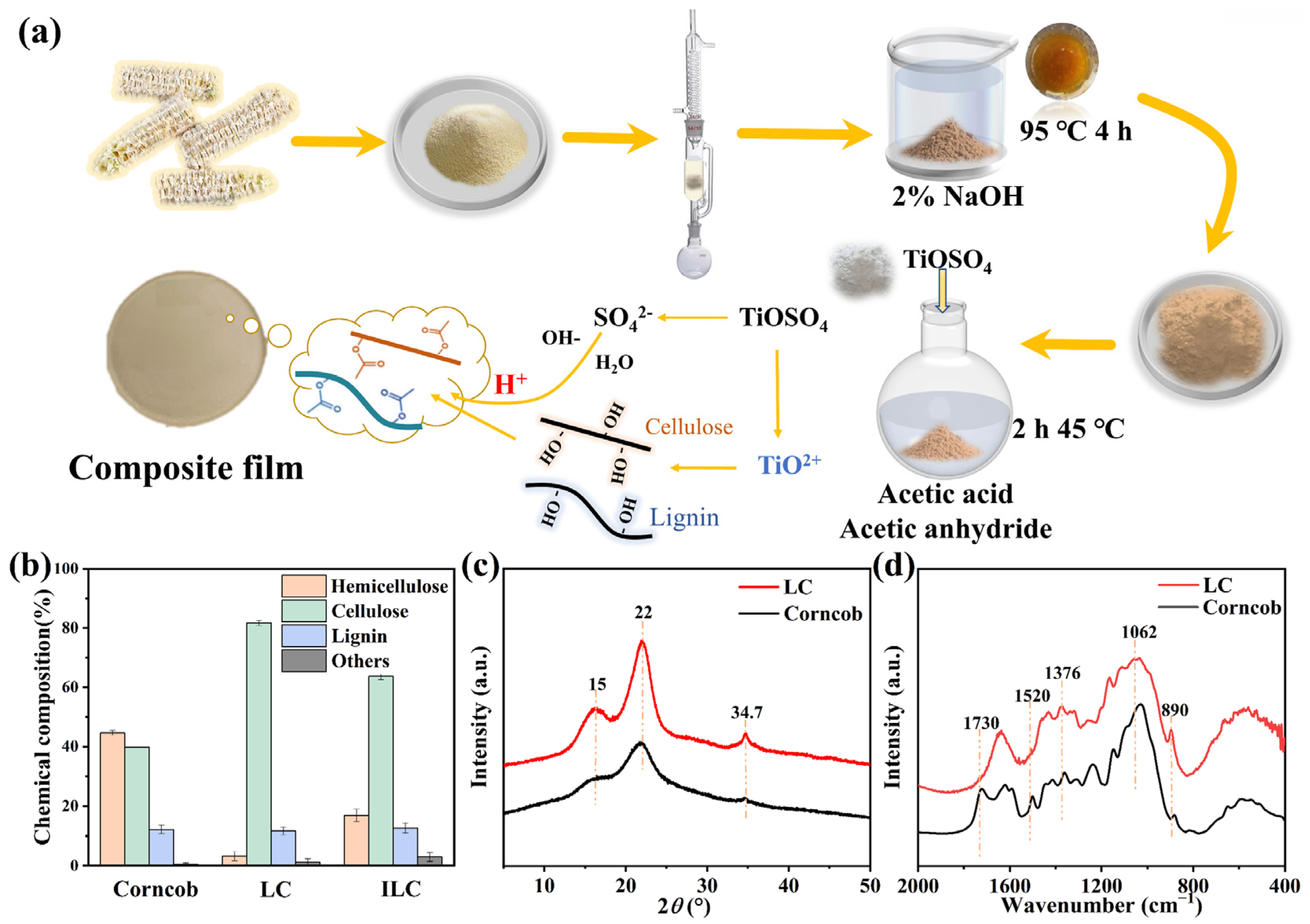 Catalysts 15 00587 g001