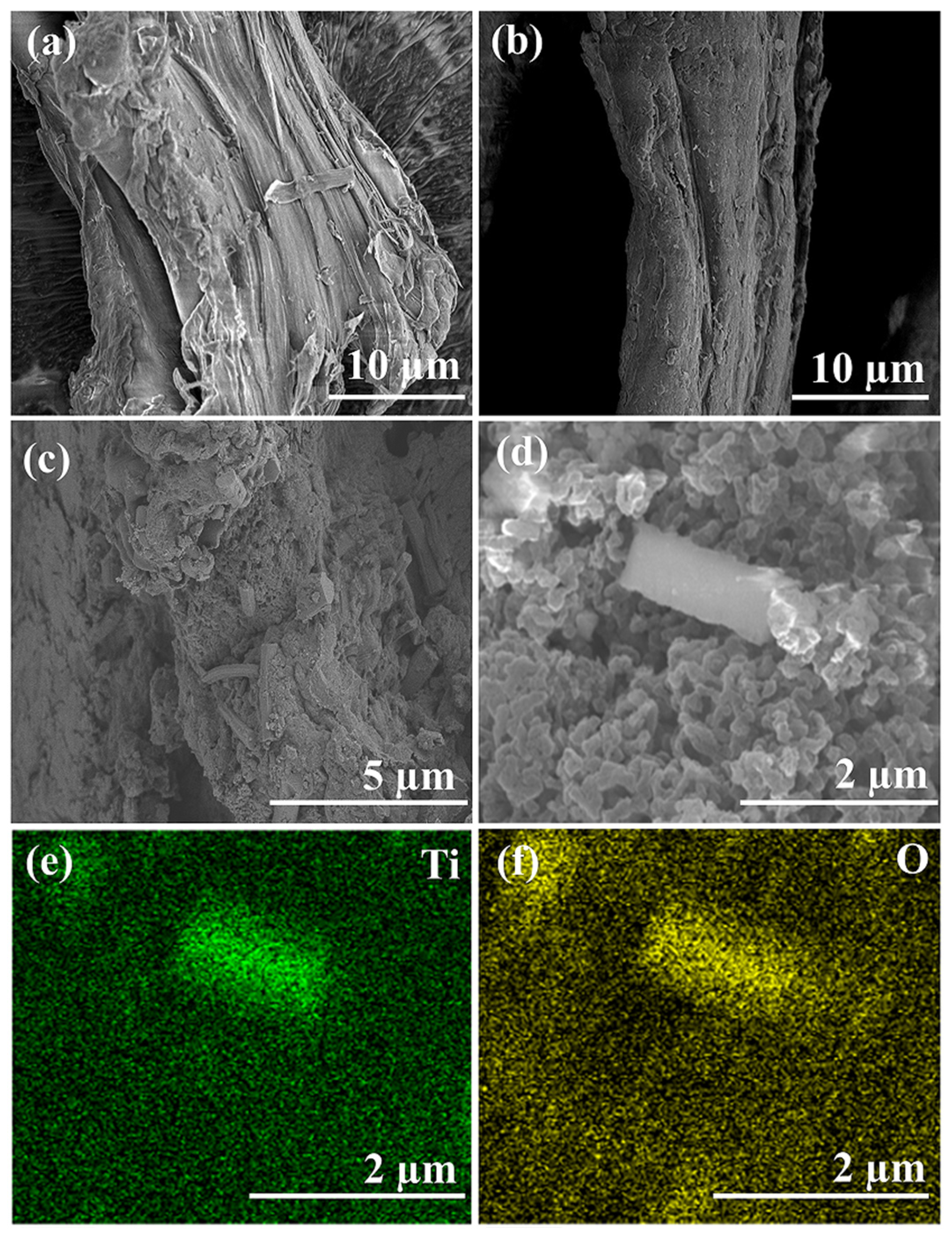 Catalysts 15 00587 g003