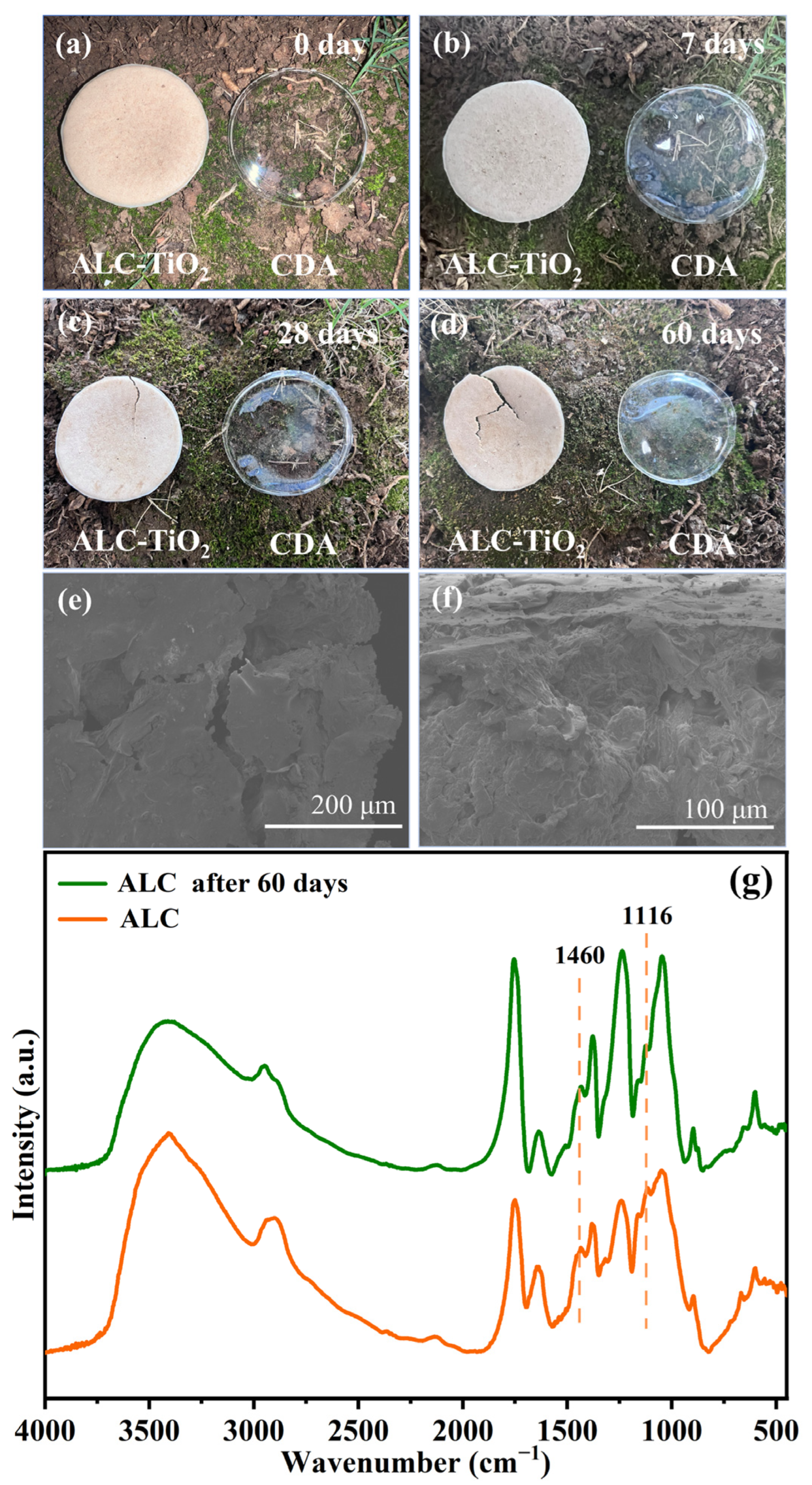 Catalysts 15 00587 g007