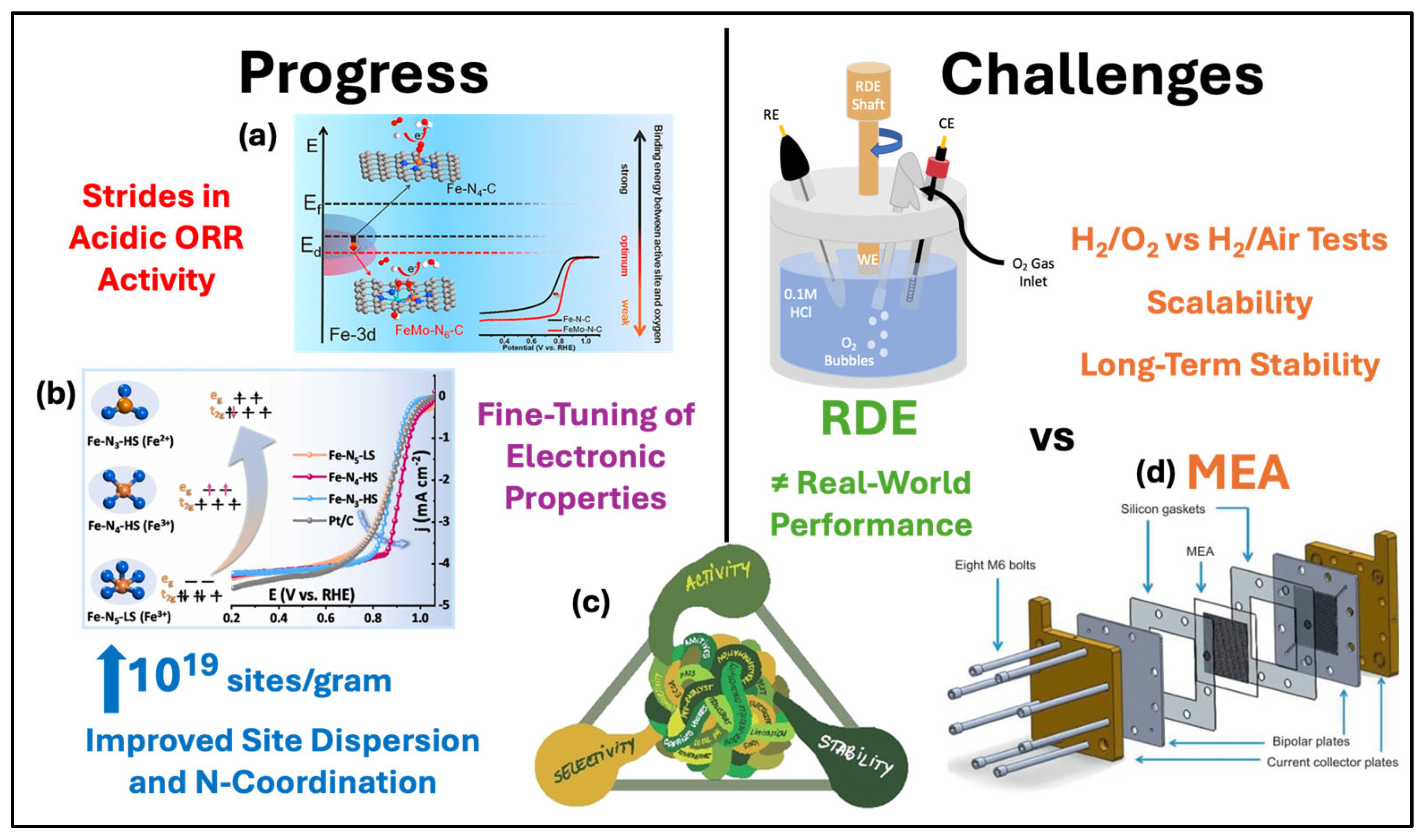 Catalysts 15 00588 g013