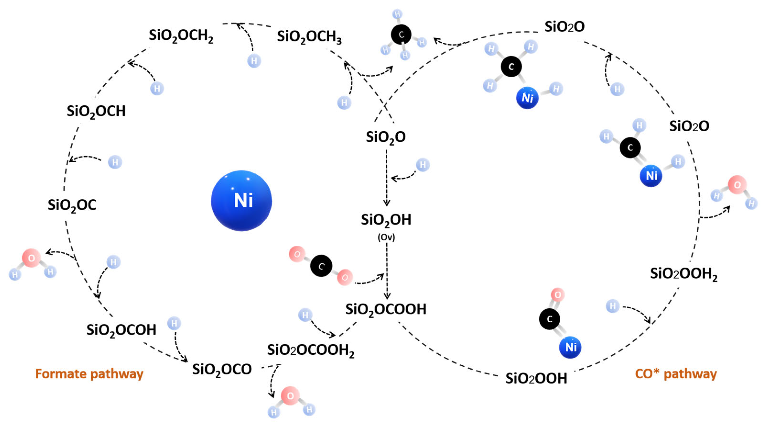 Catalysts 15 00589 g002