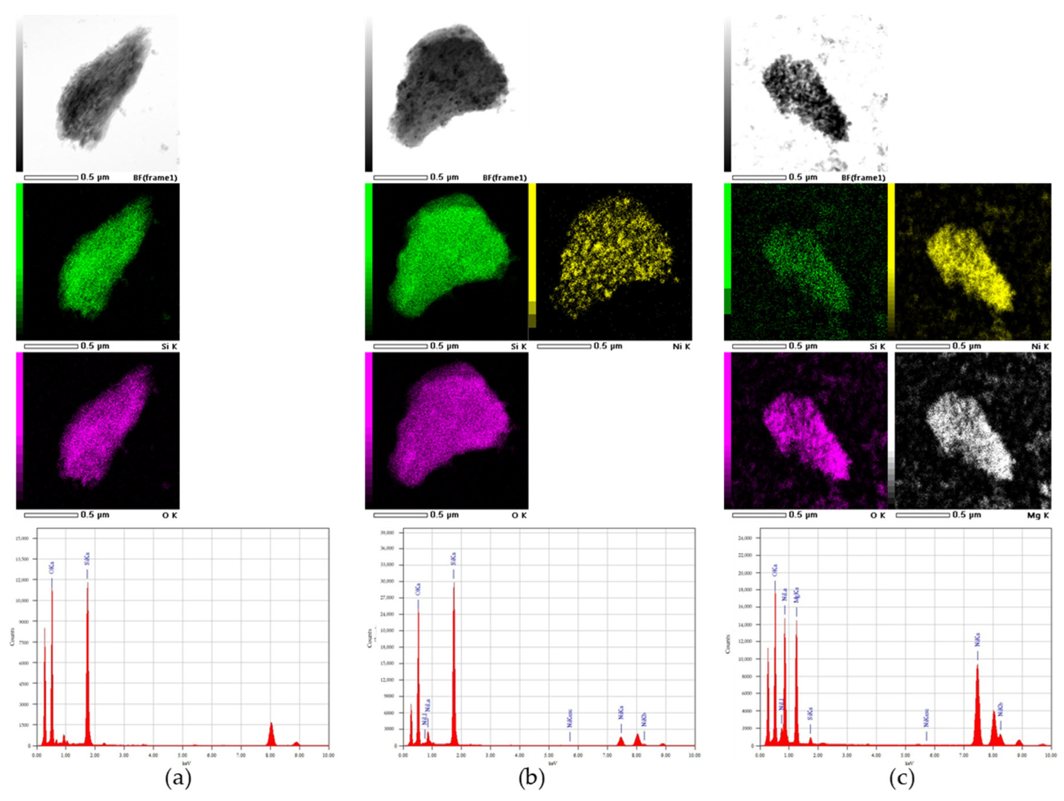 Catalysts 15 00589 g013