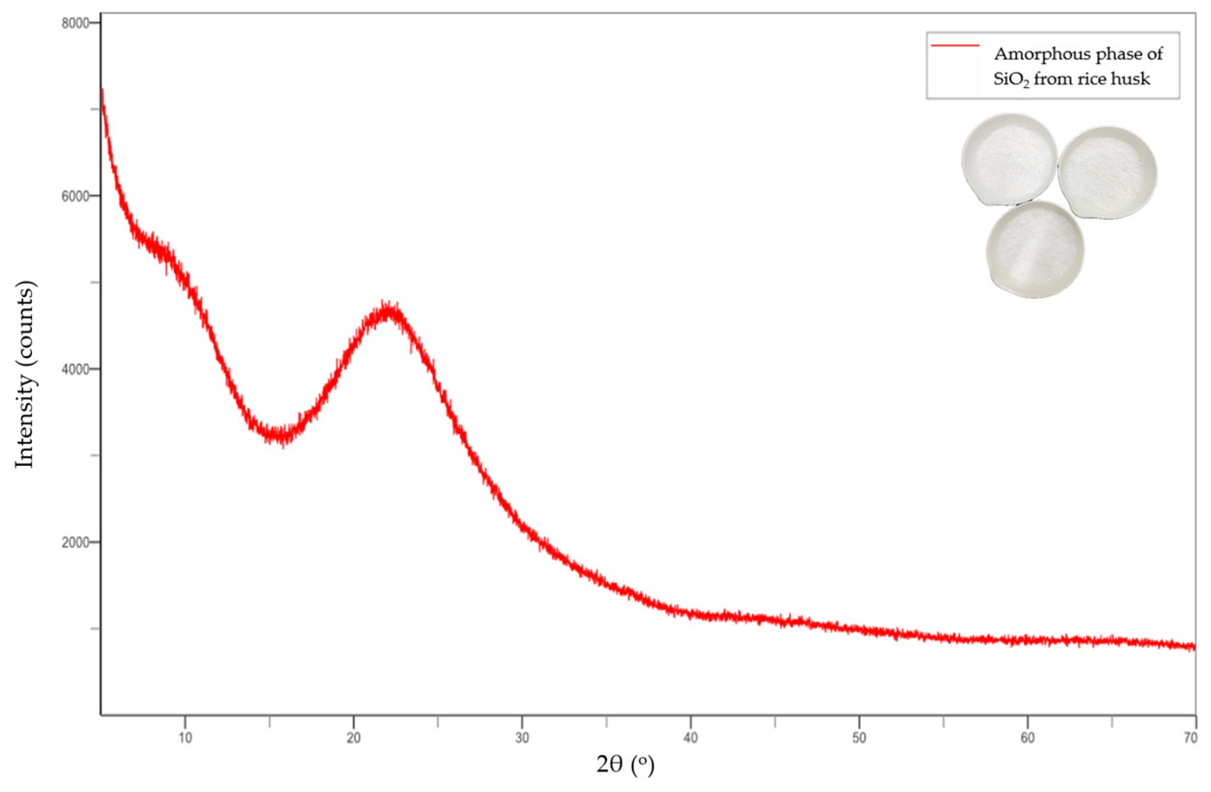 Catalysts 15 00589 g016