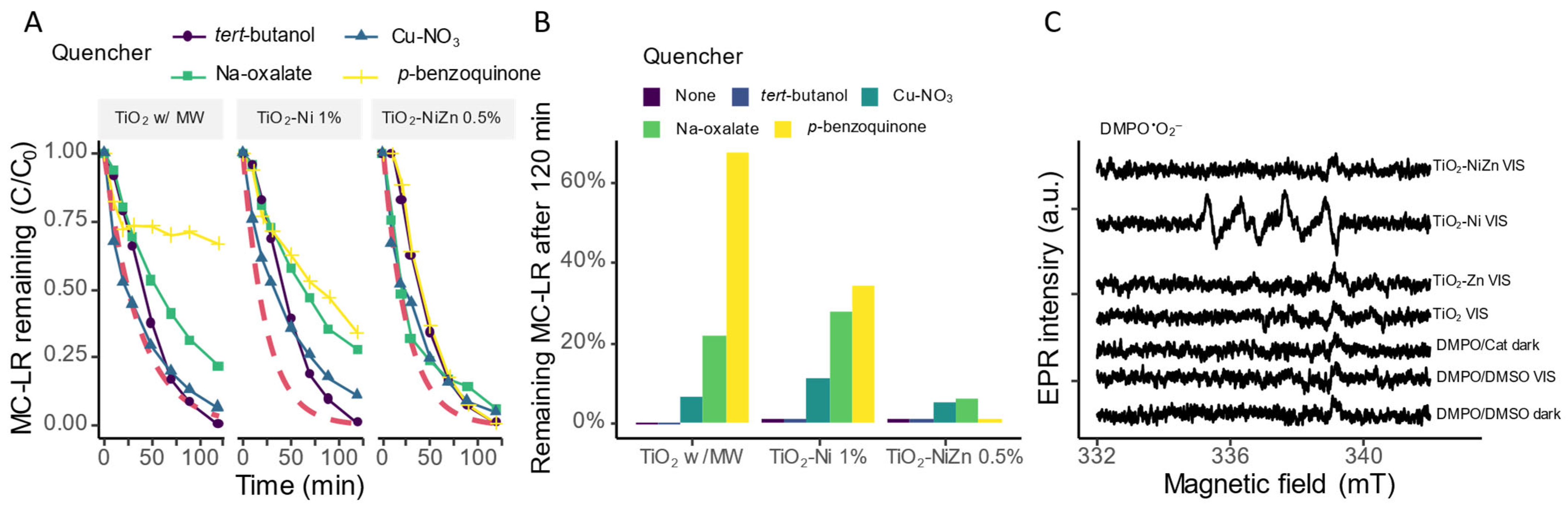Catalysts 15 00590 g005