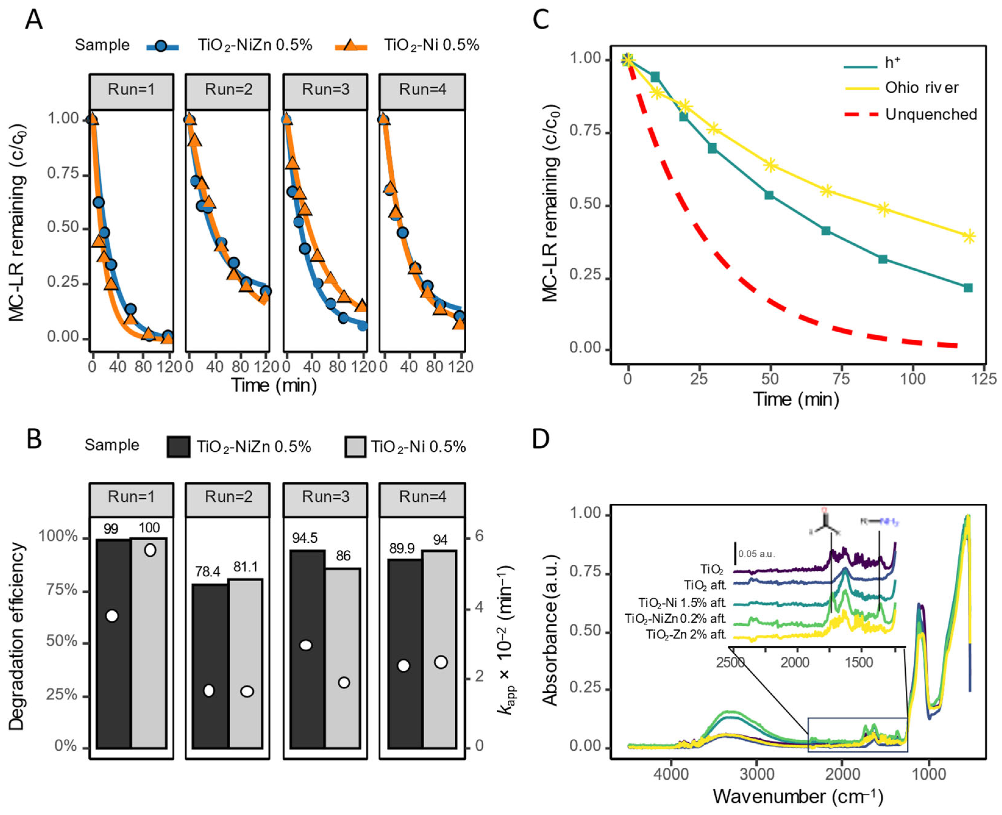 Catalysts 15 00590 g006