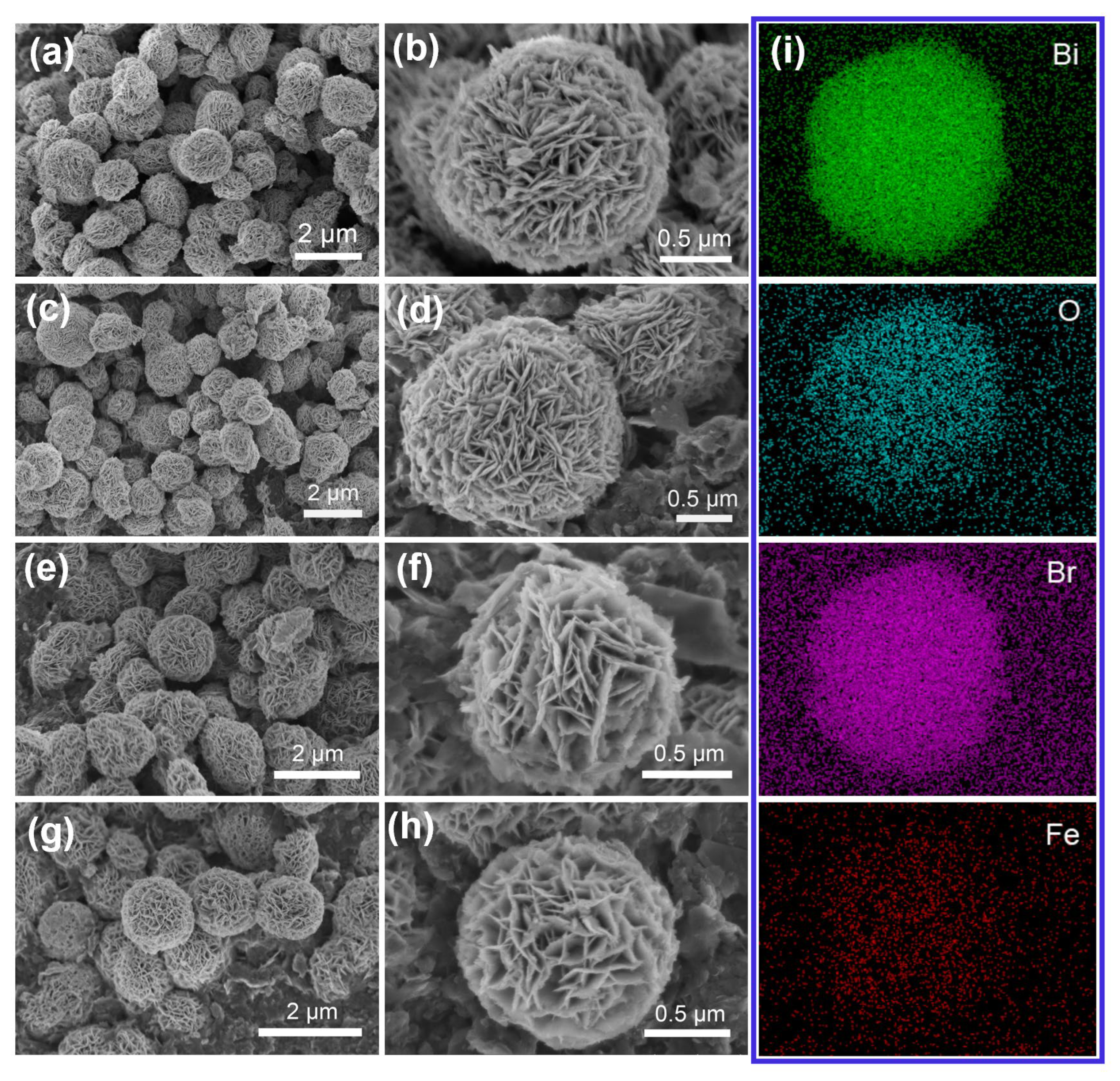 Catalysts 15 00594 g002