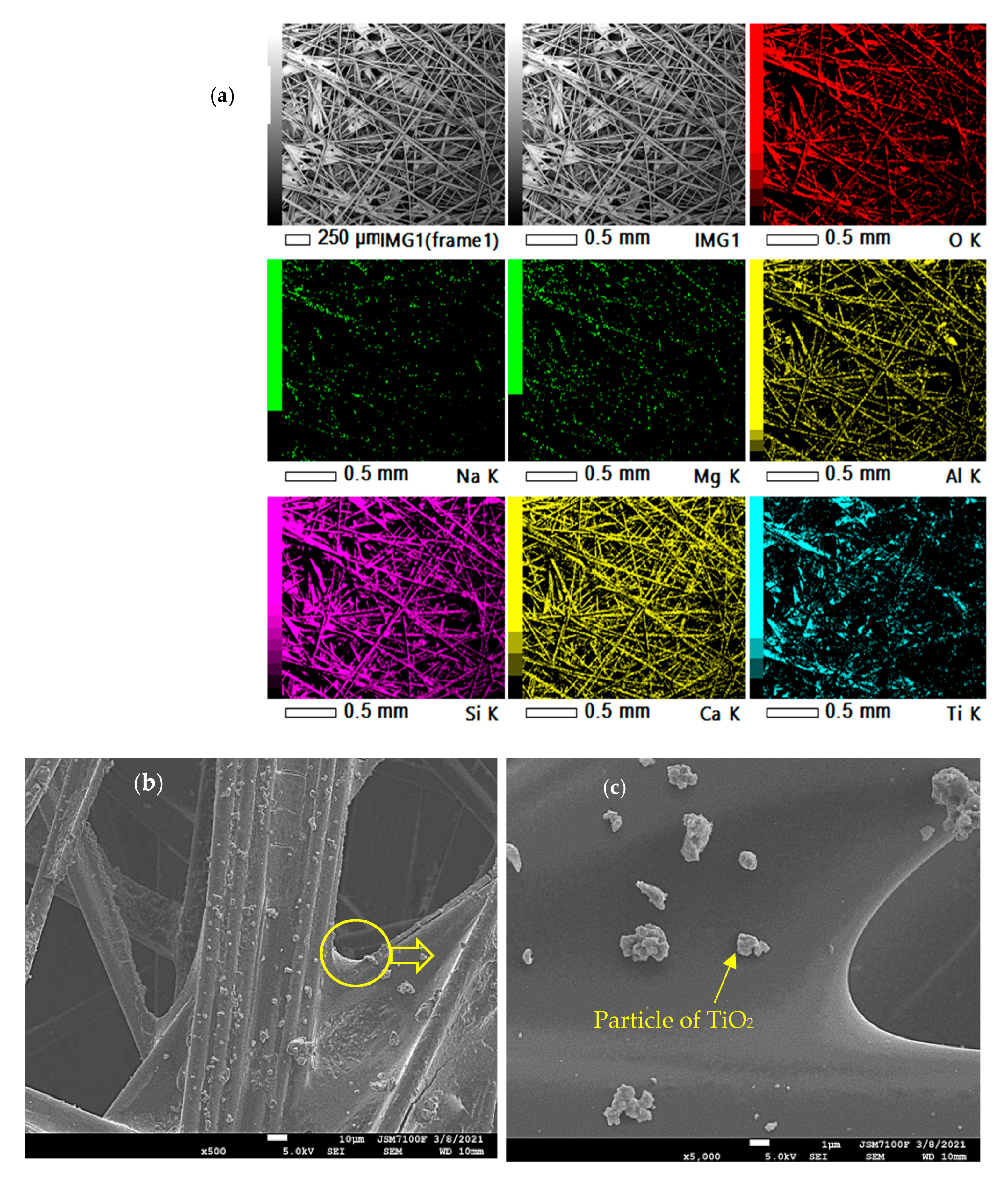 Catalysts 15 00595 g010