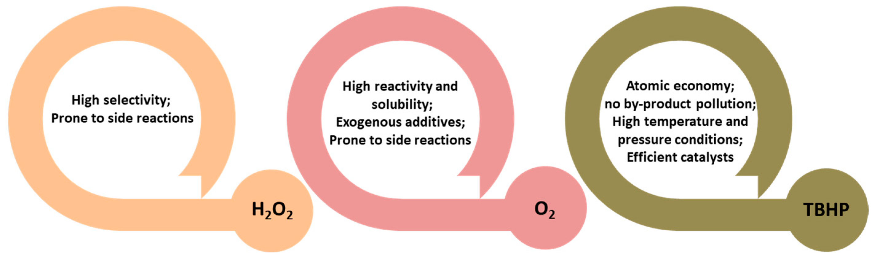 Catalysts 15 00597 g004