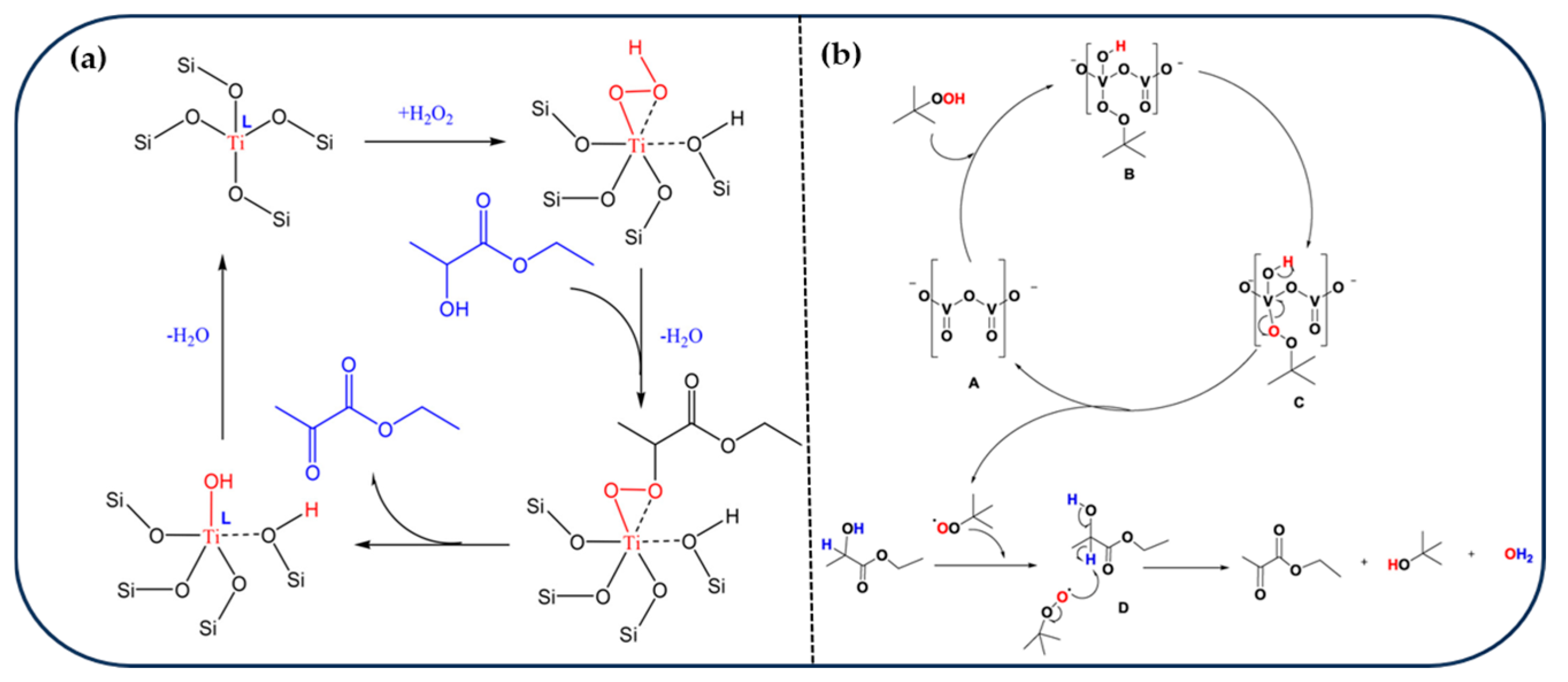 Catalysts 15 00597 g005