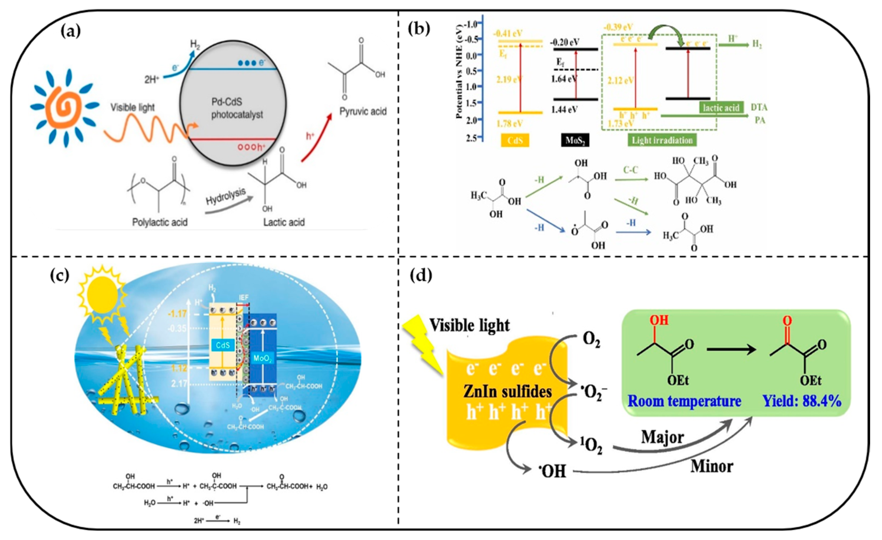 Catalysts 15 00597 g007