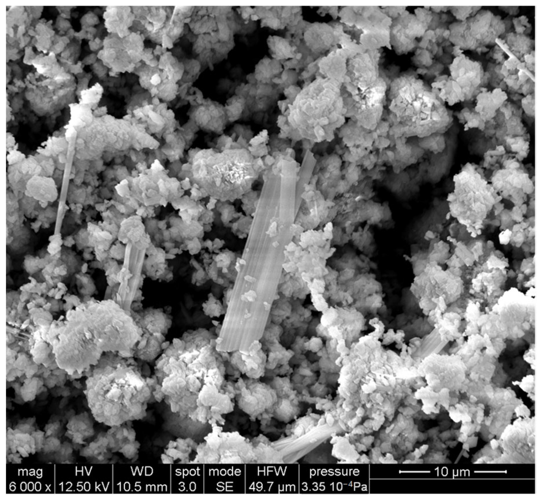 Catalysts 15 00598 g005